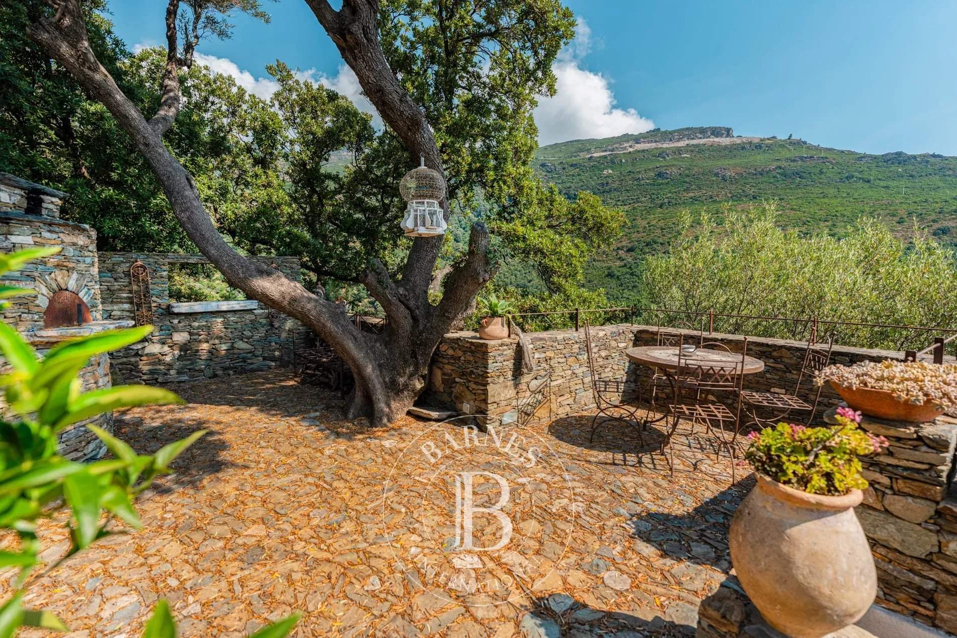 Erbalunga  - Villa 4 Bedrooms - picture 18