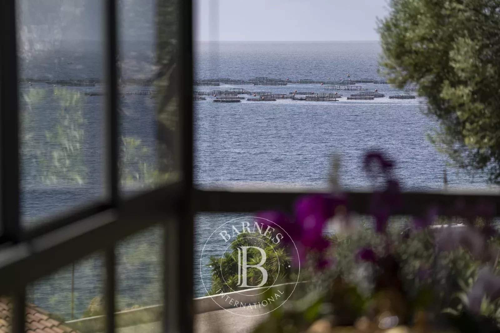 Ajaccio  - House 3 Bedrooms - picture 4