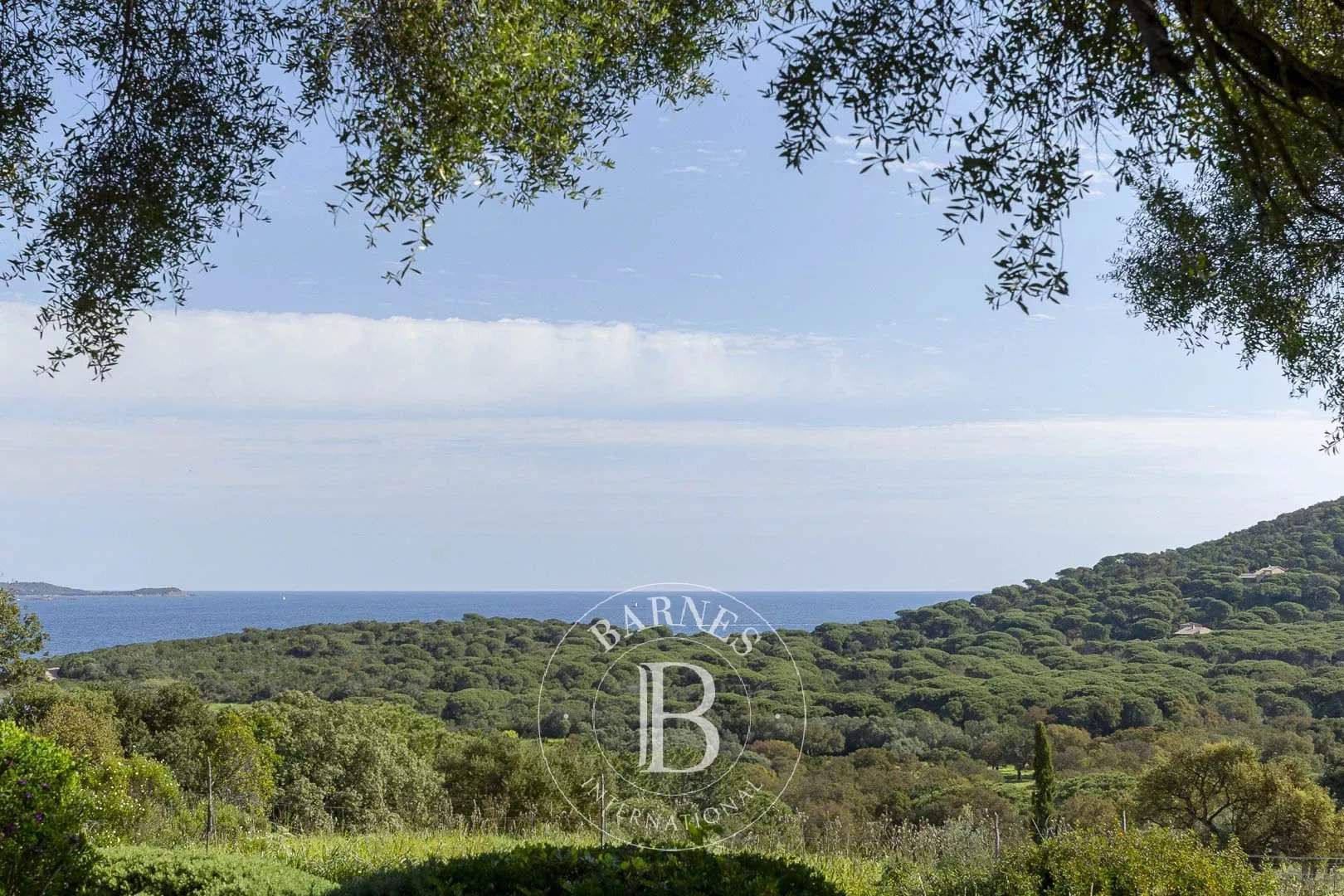 Porto-Vecchio  - Villa  - picture 7