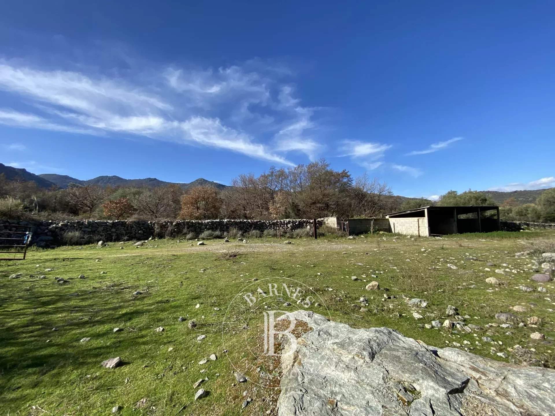 L'Île-Rousse  - Property  - picture 6