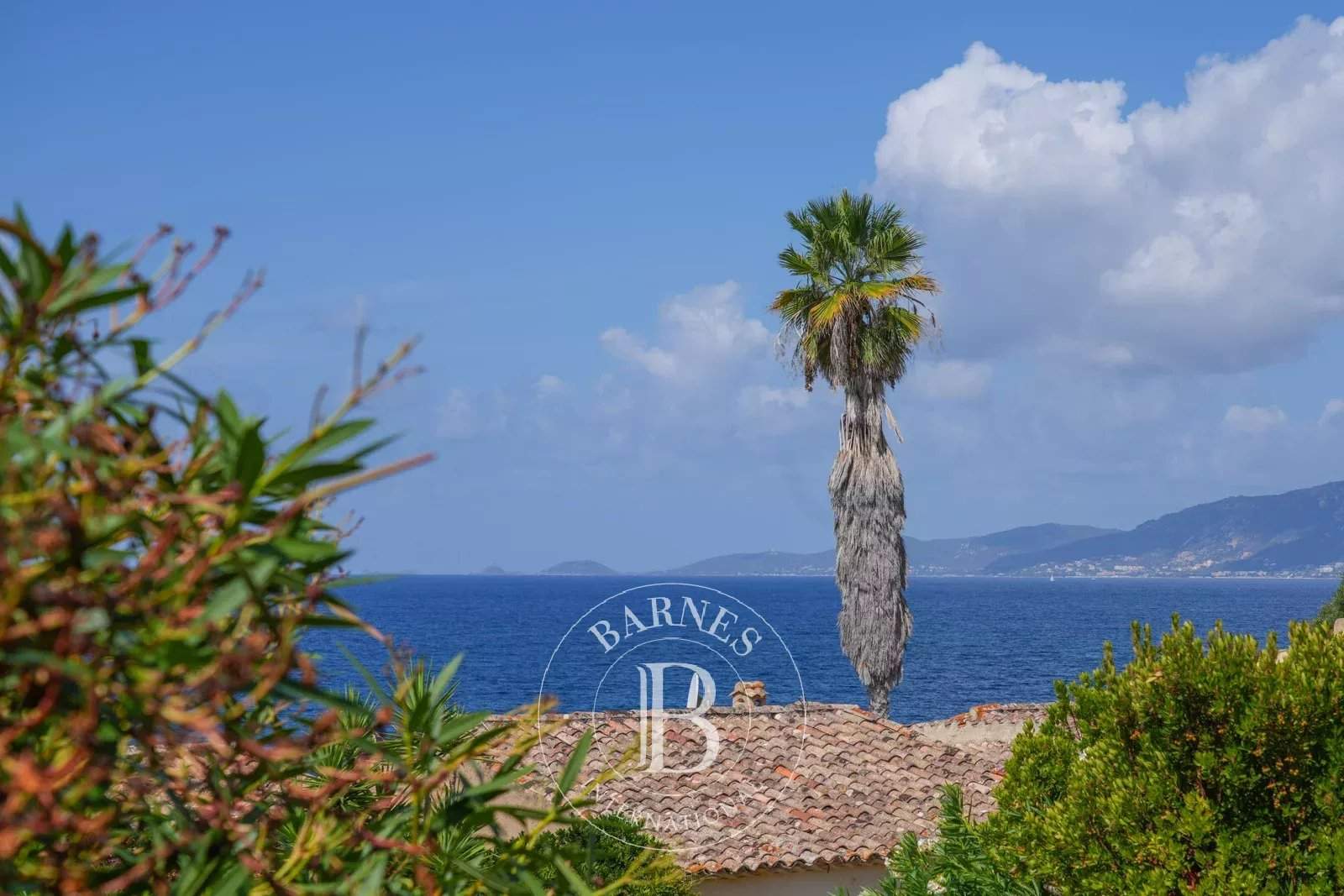 Porticcio  - Bastide 5 Bedrooms - picture 2