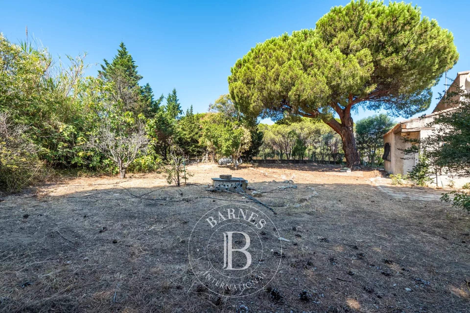 Calvi  - Villa 5 Bedrooms - picture 14