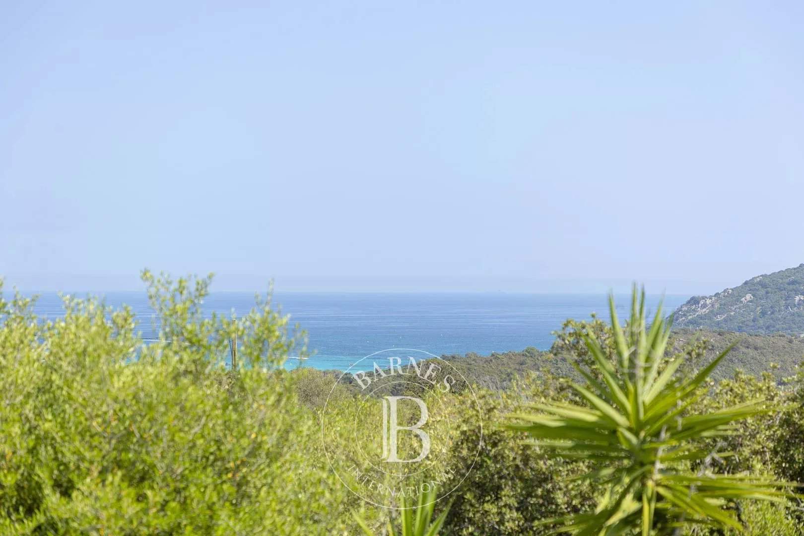 Porto-Vecchio  - Property  - picture 20