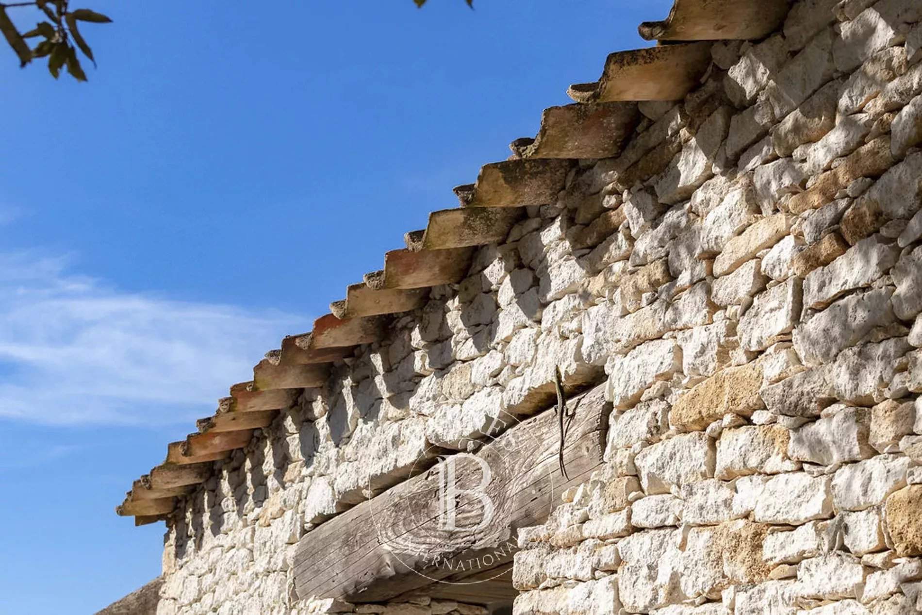 Bonifacio  - Villa  - picture 3