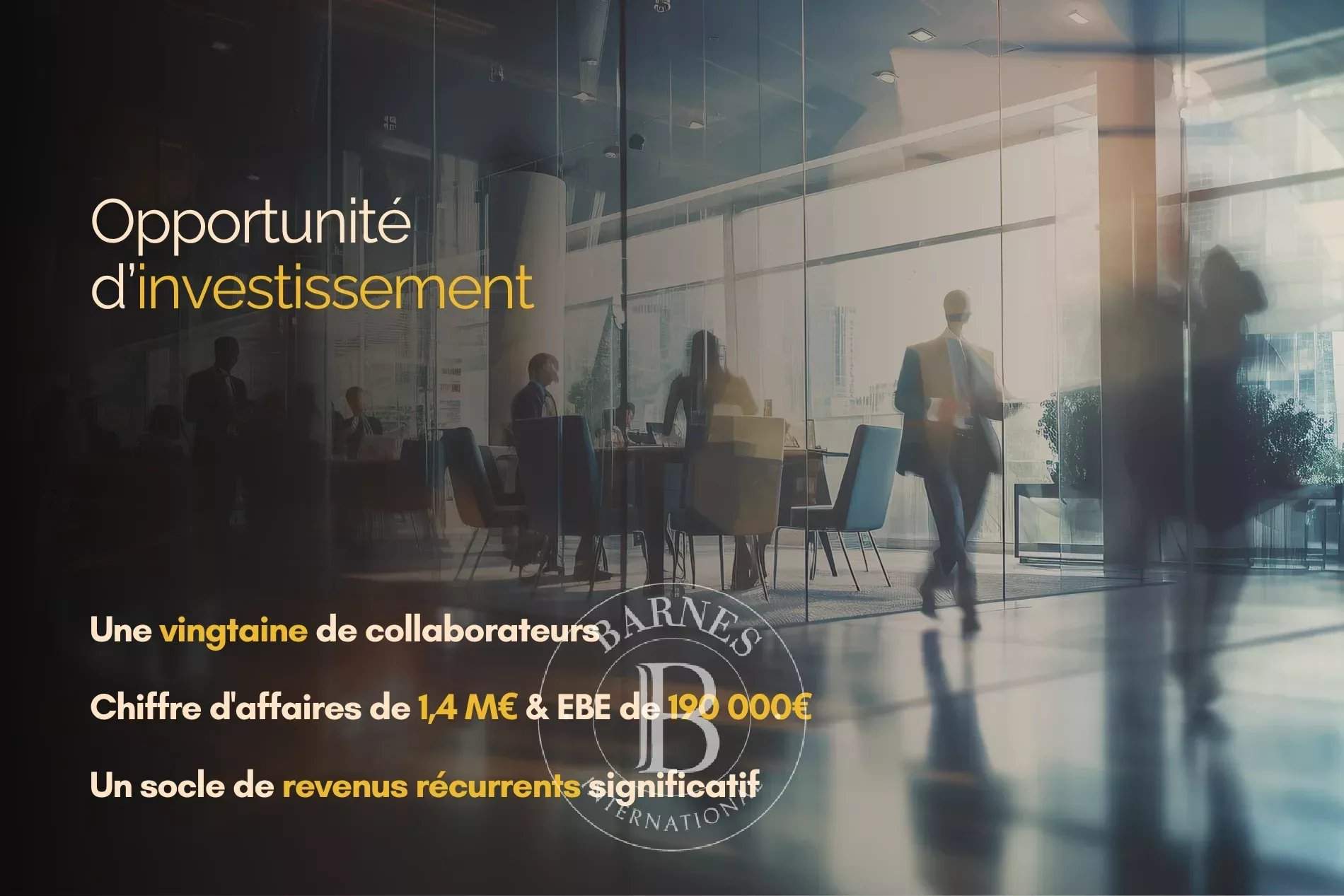 Lecci  - Entreprise  - picture 2