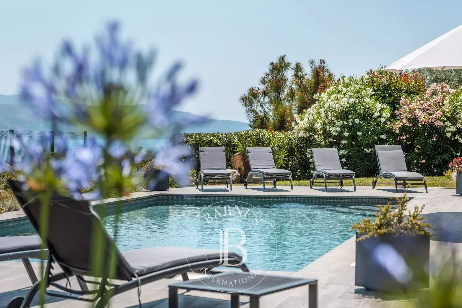 Sagone  - Villa 5 Bedrooms - picture 18