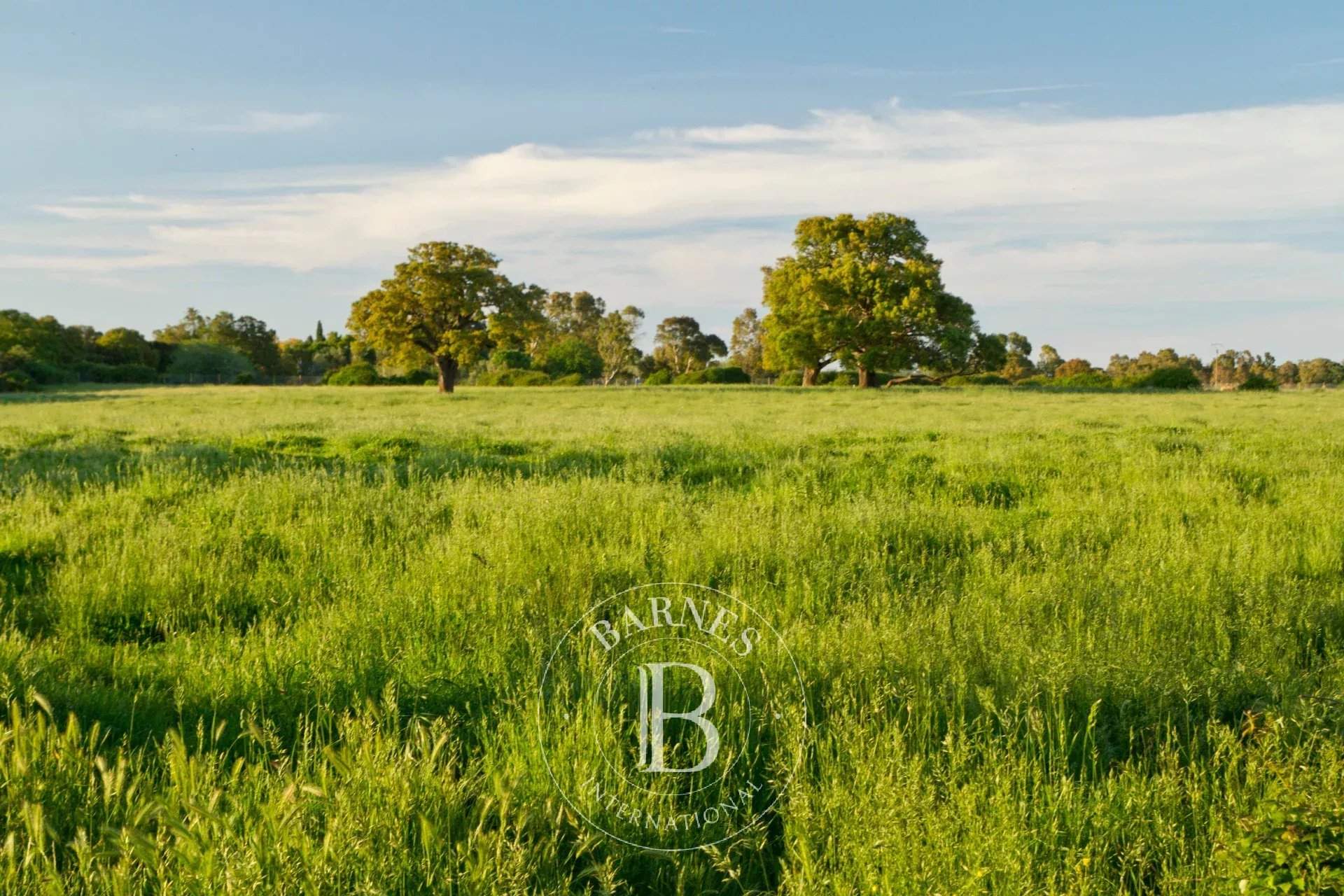 Bonifacio  - Villa  - picture 7