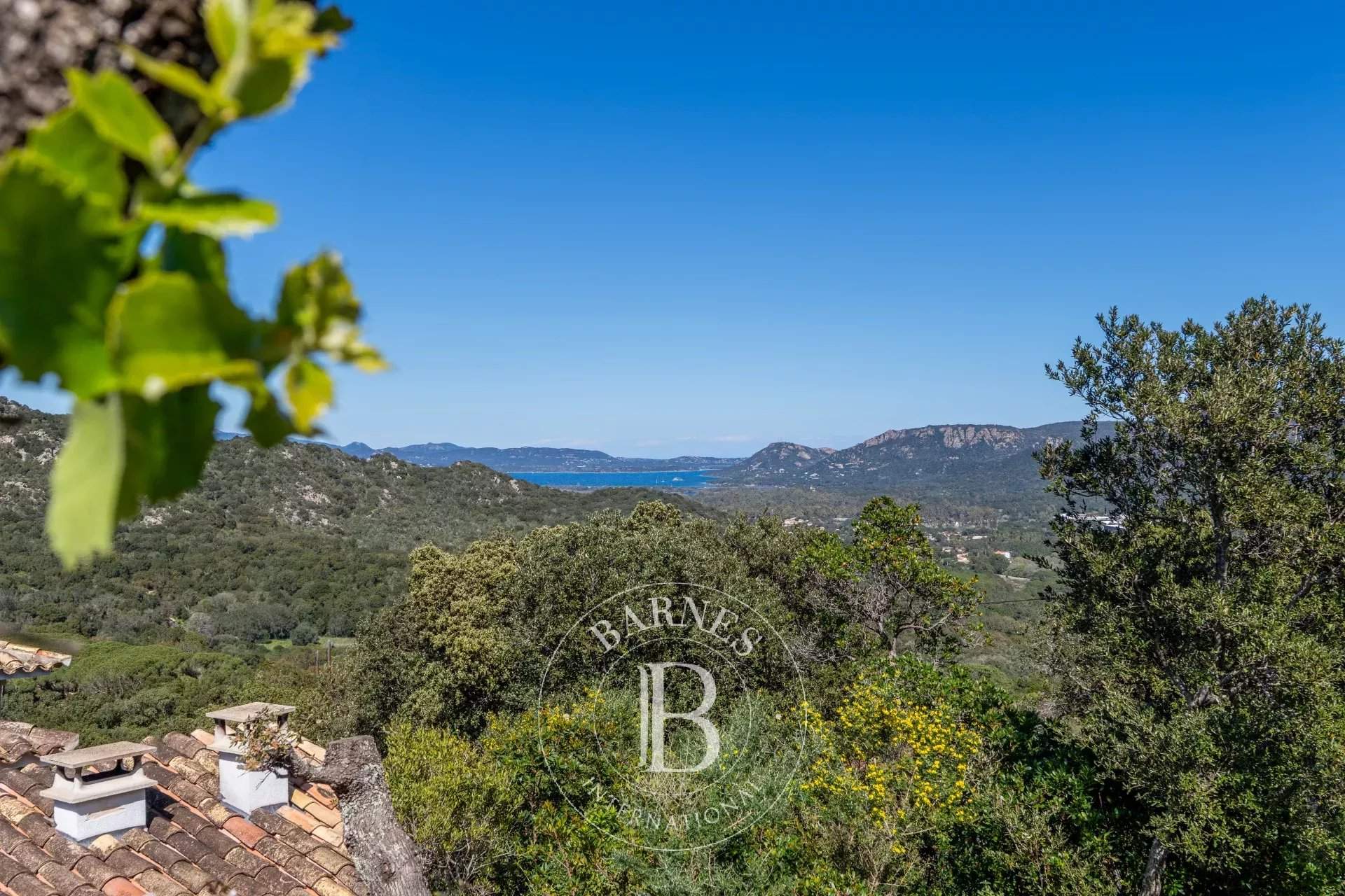 Porto-Vecchio  - Villa  - picture 6