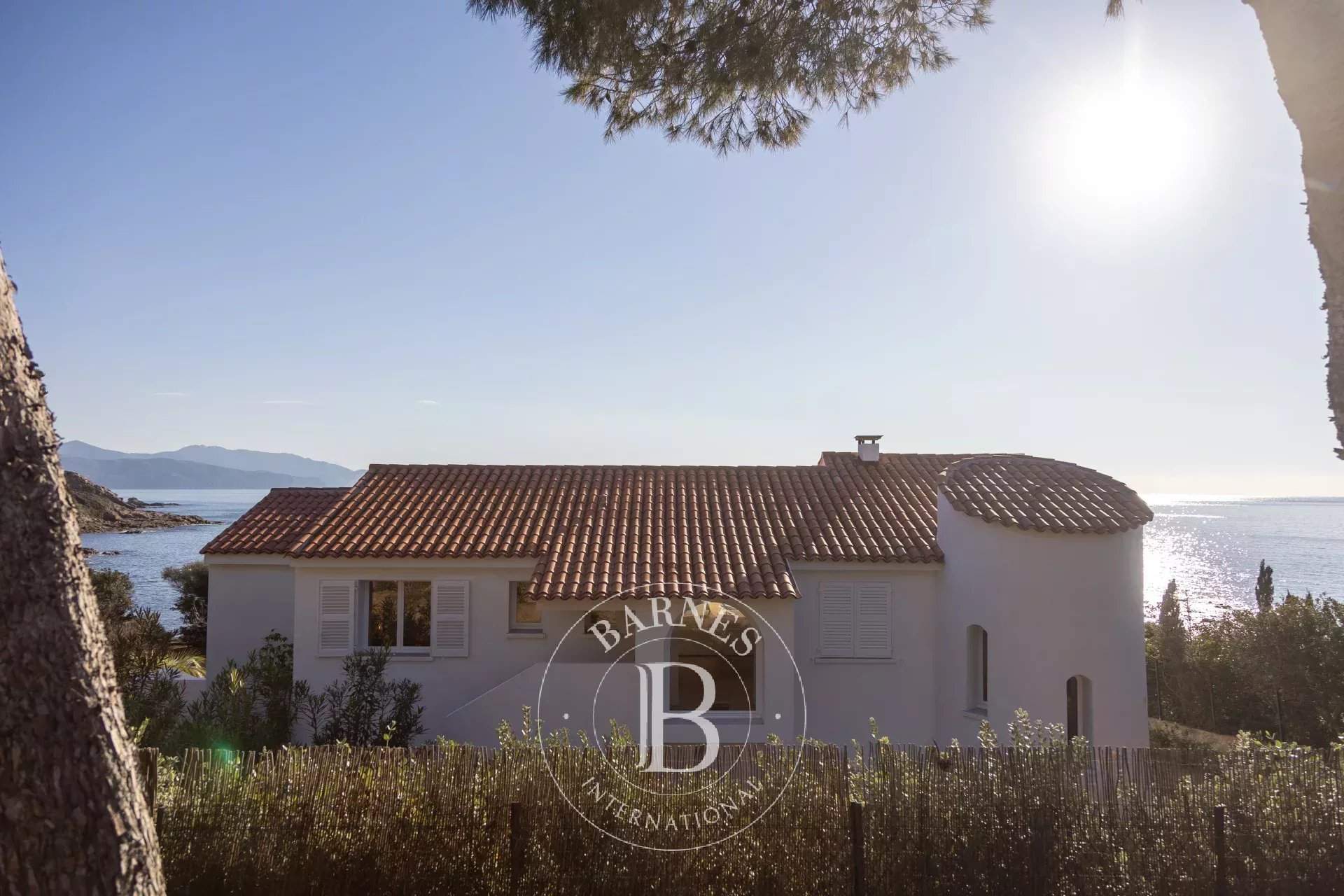 Sagone, Villa pieds dans l'eau, 6 chambres, vue mer panoramique, accès plage à pied picture 2