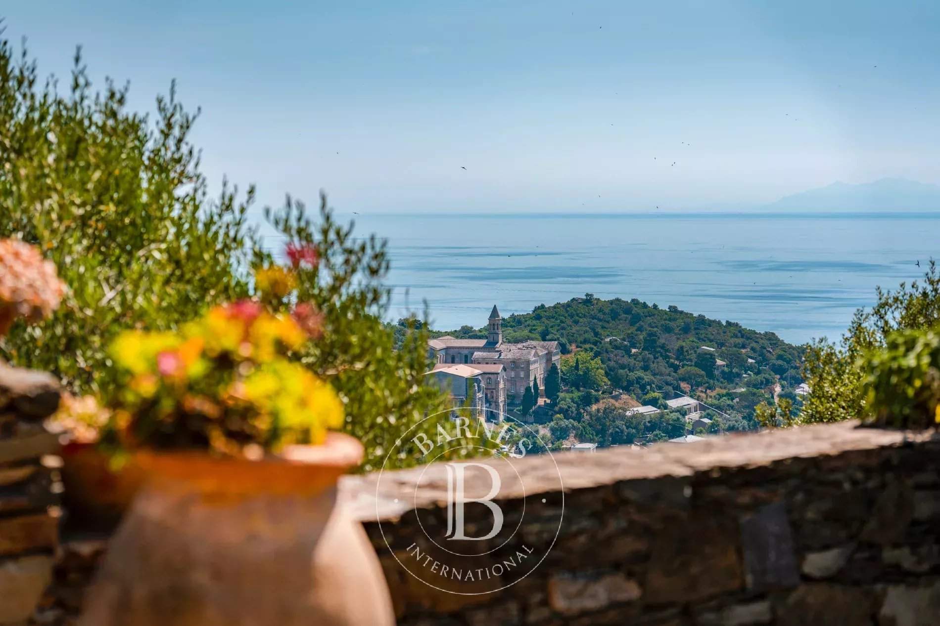 Erbalunga  - Villa 4 Bedrooms - picture 2