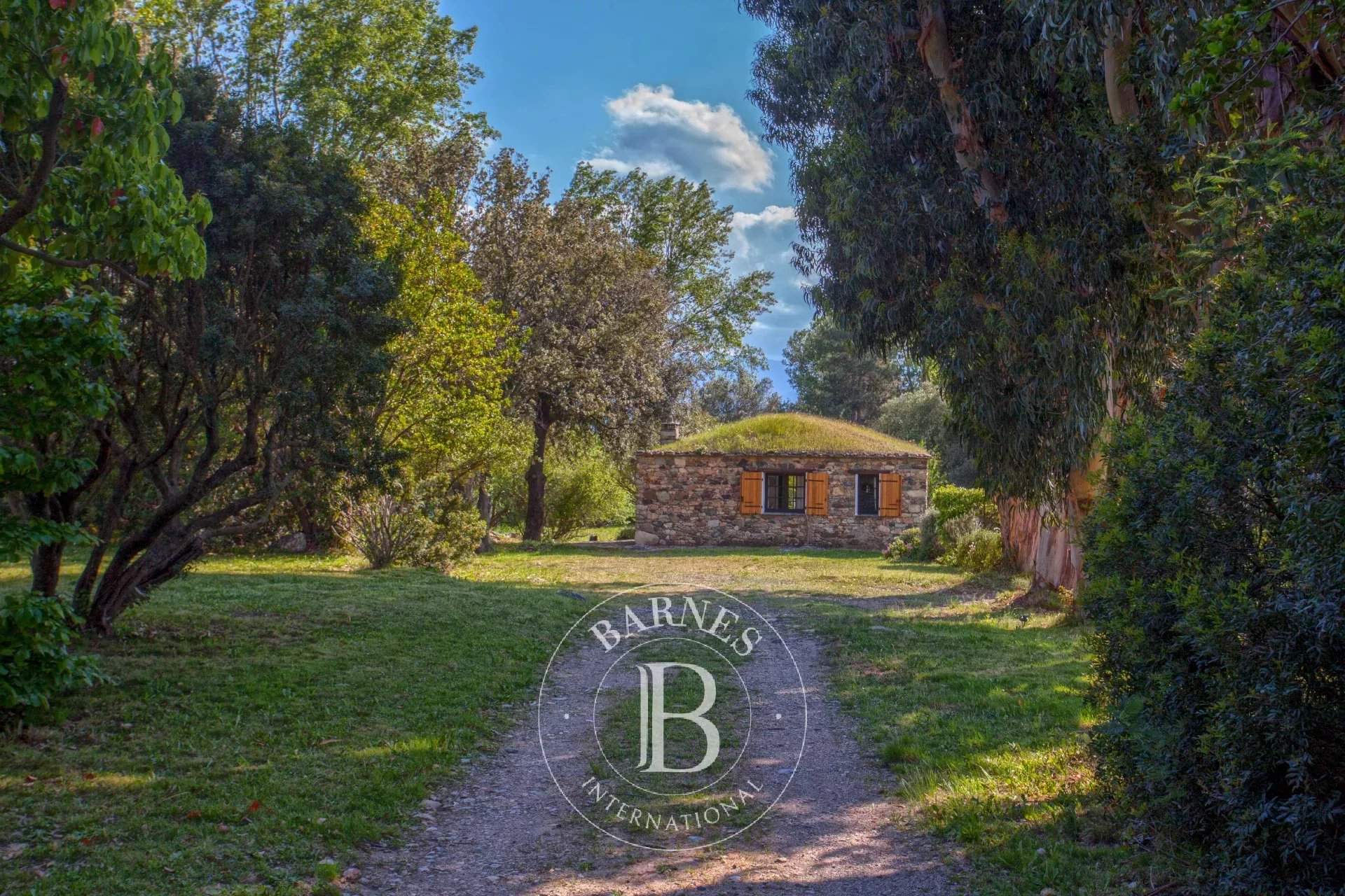 Saint-Florent  - Villa 8 Bedrooms - picture 18