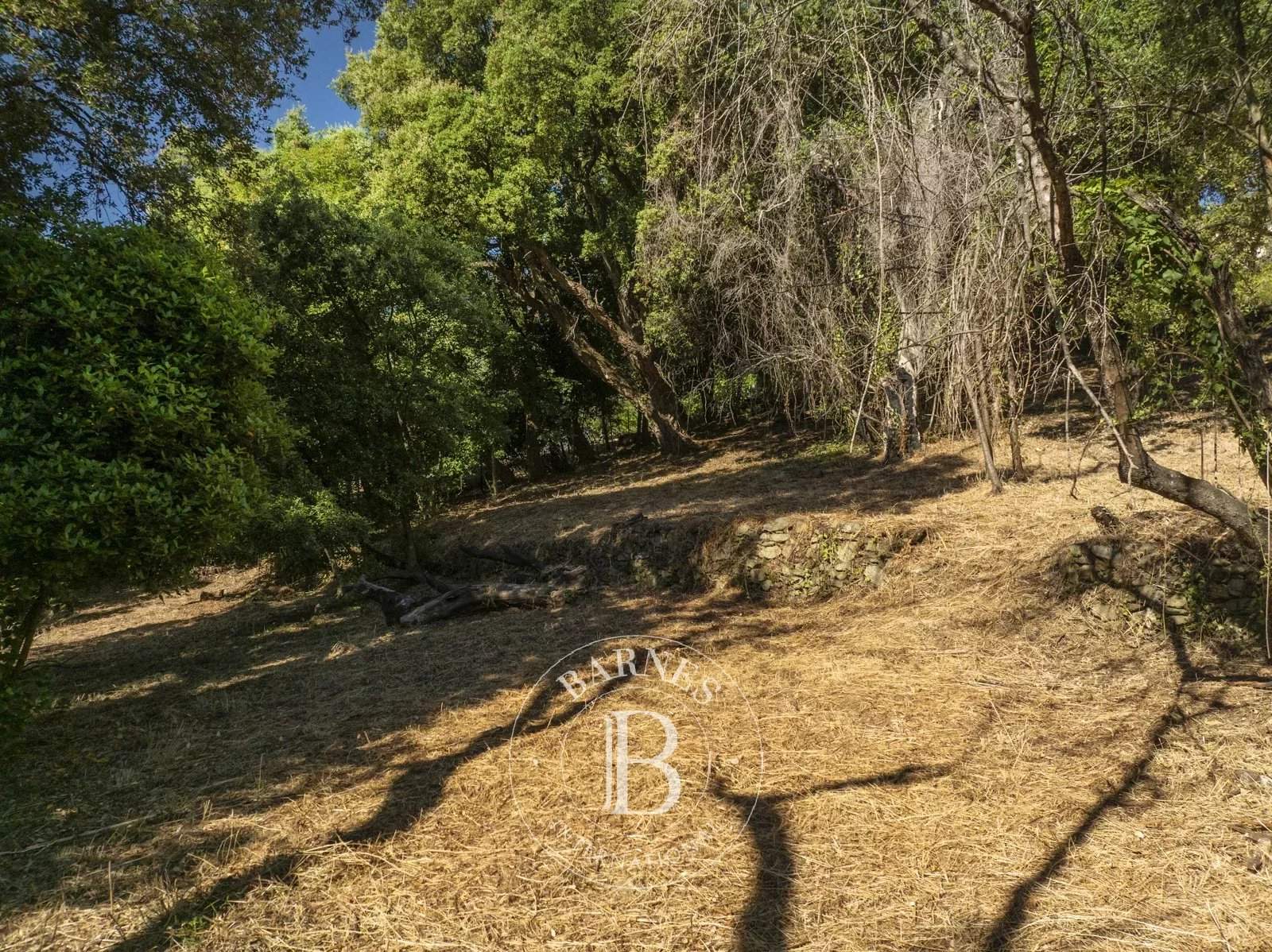 Bastia  - Terreno urbanizable  - picture 6