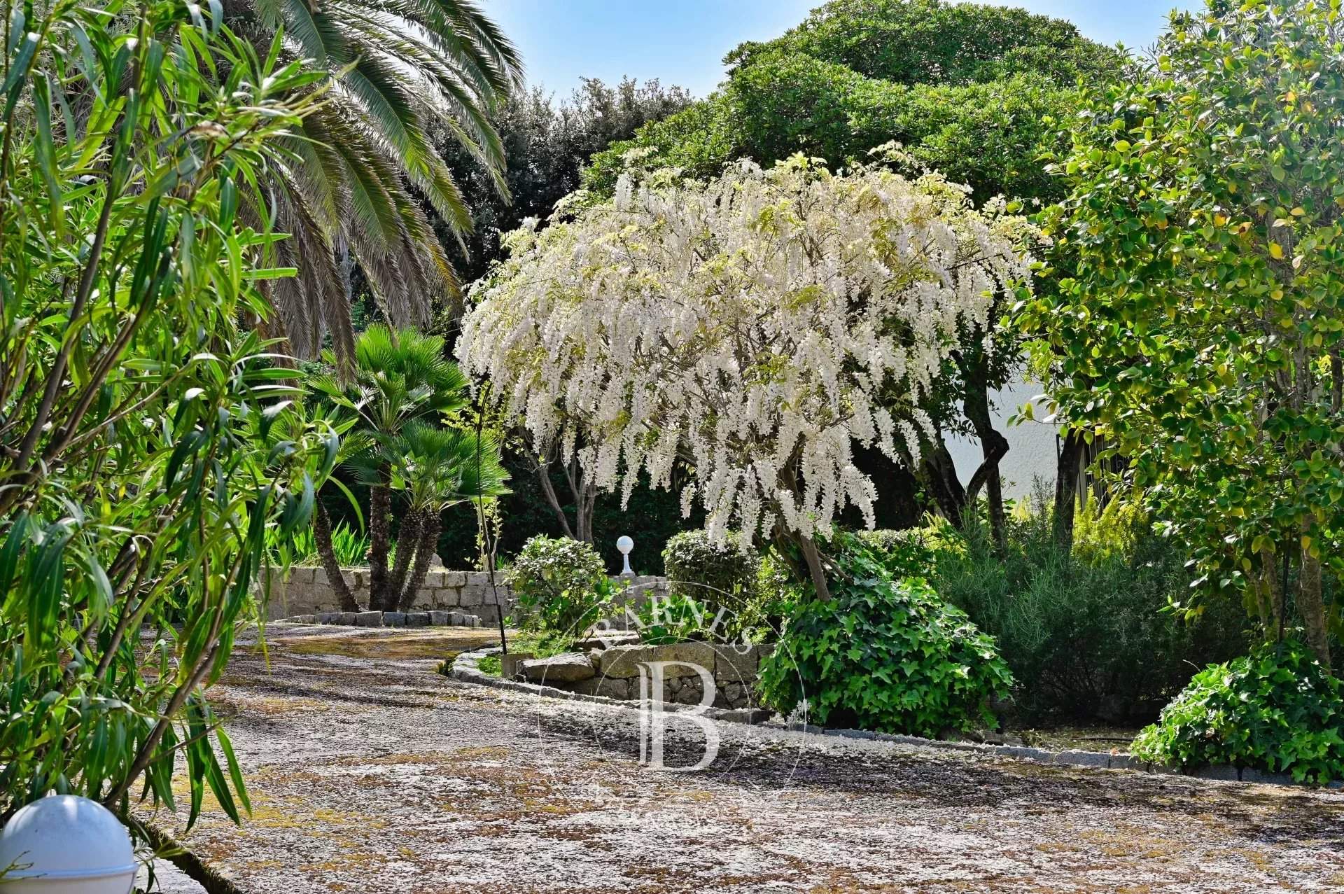 Pietrosella  - Villa 7 Bedrooms - picture 4