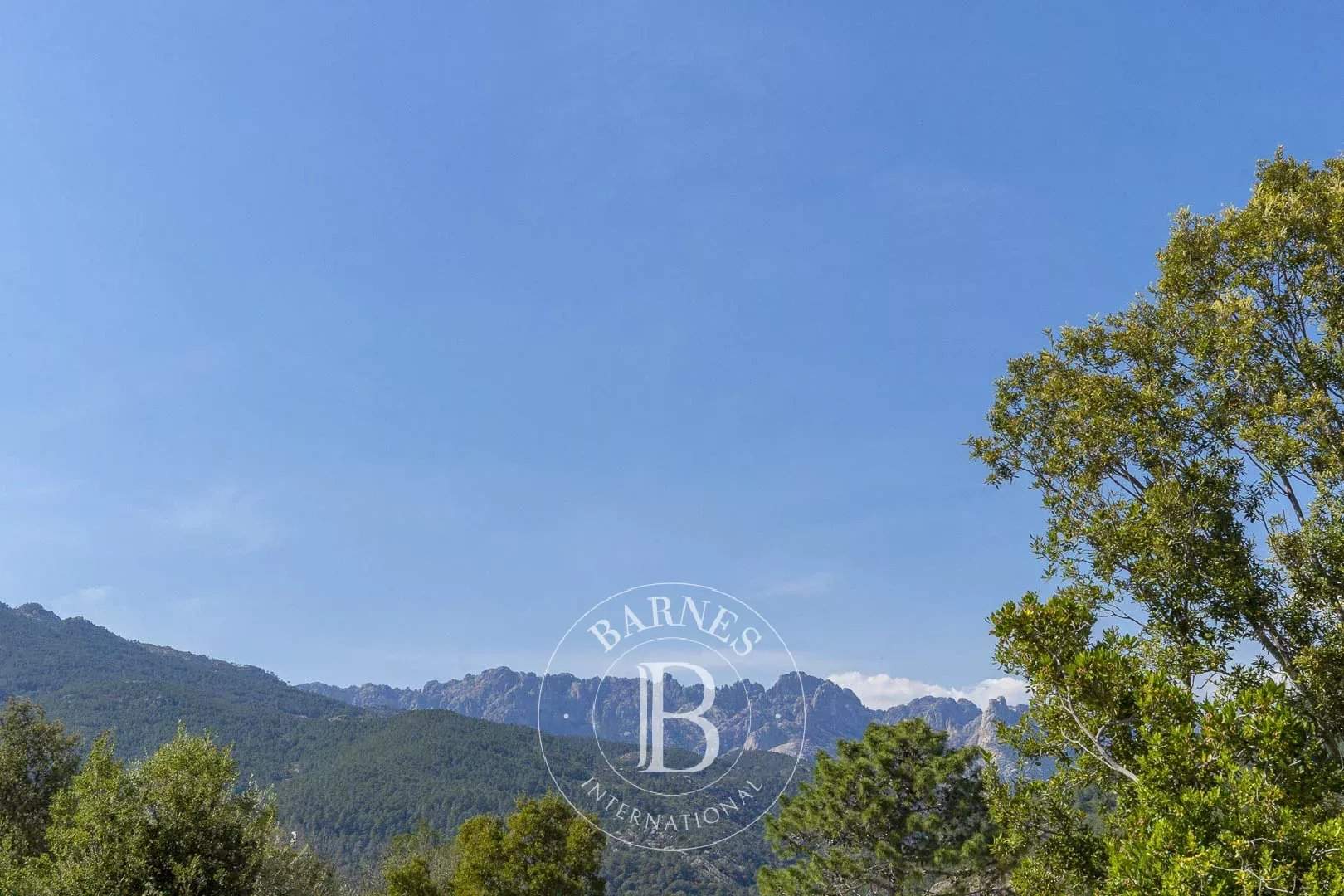 Sainte-Lucie-de-Porto-Vecchio  - Maison 5 Pi&egrave;ces 4 Chambres - picture 4