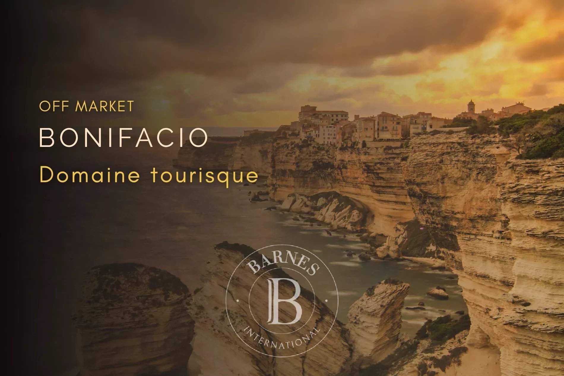 Bonifacio  - Entreprise  - picture 1