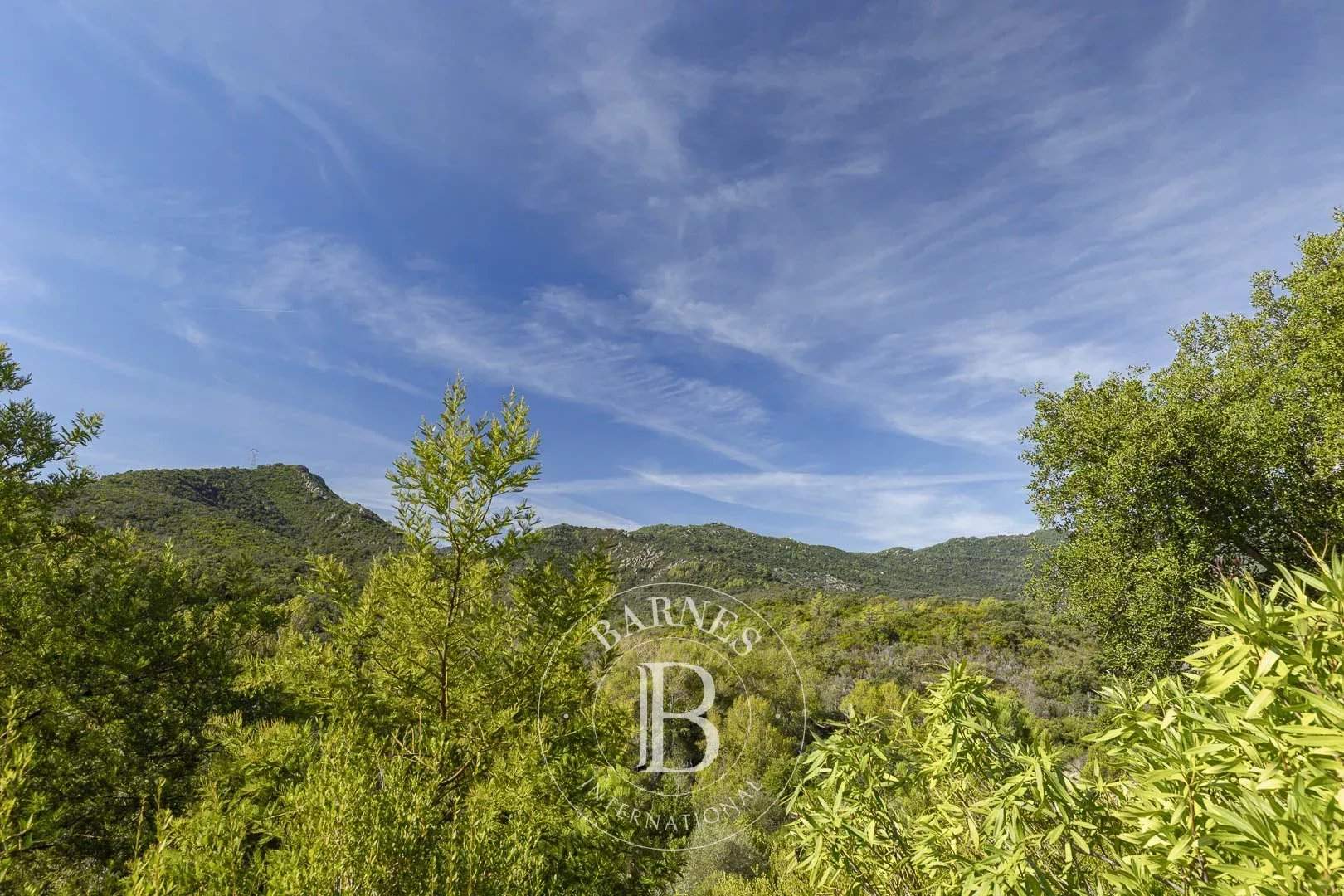 Conca  - Villa 5 Pi&egrave;ces 4 Chambres - picture 15