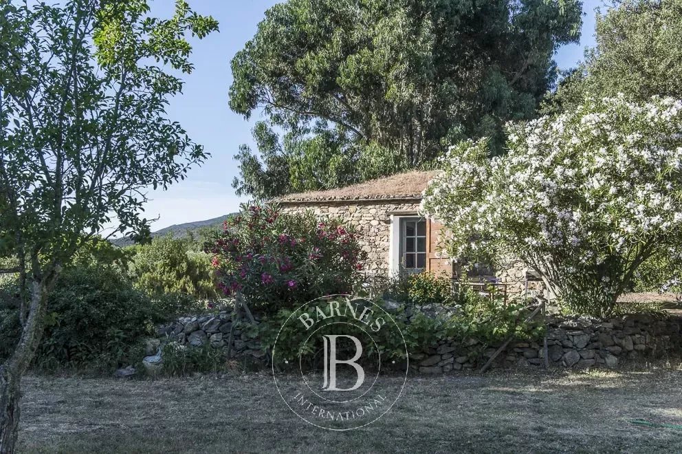 Saint-Florent  - Villa 8 Bedrooms - picture 10