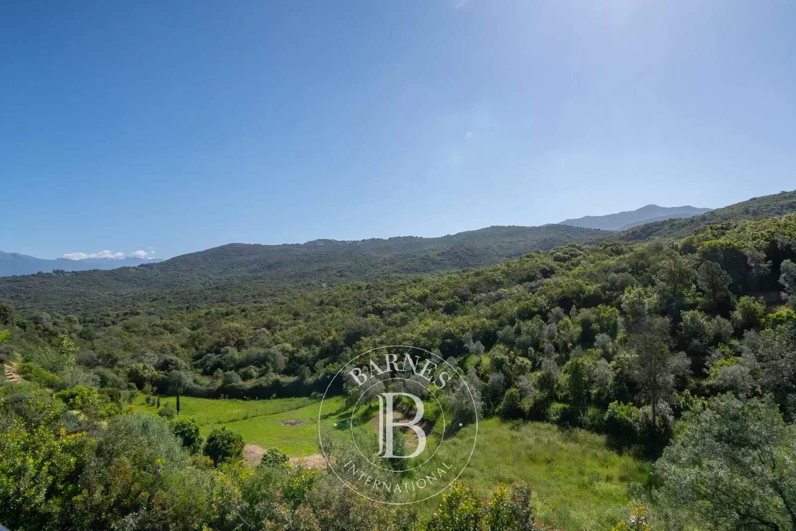 Porticcio  - Villa 7 Cuartos - picture 7