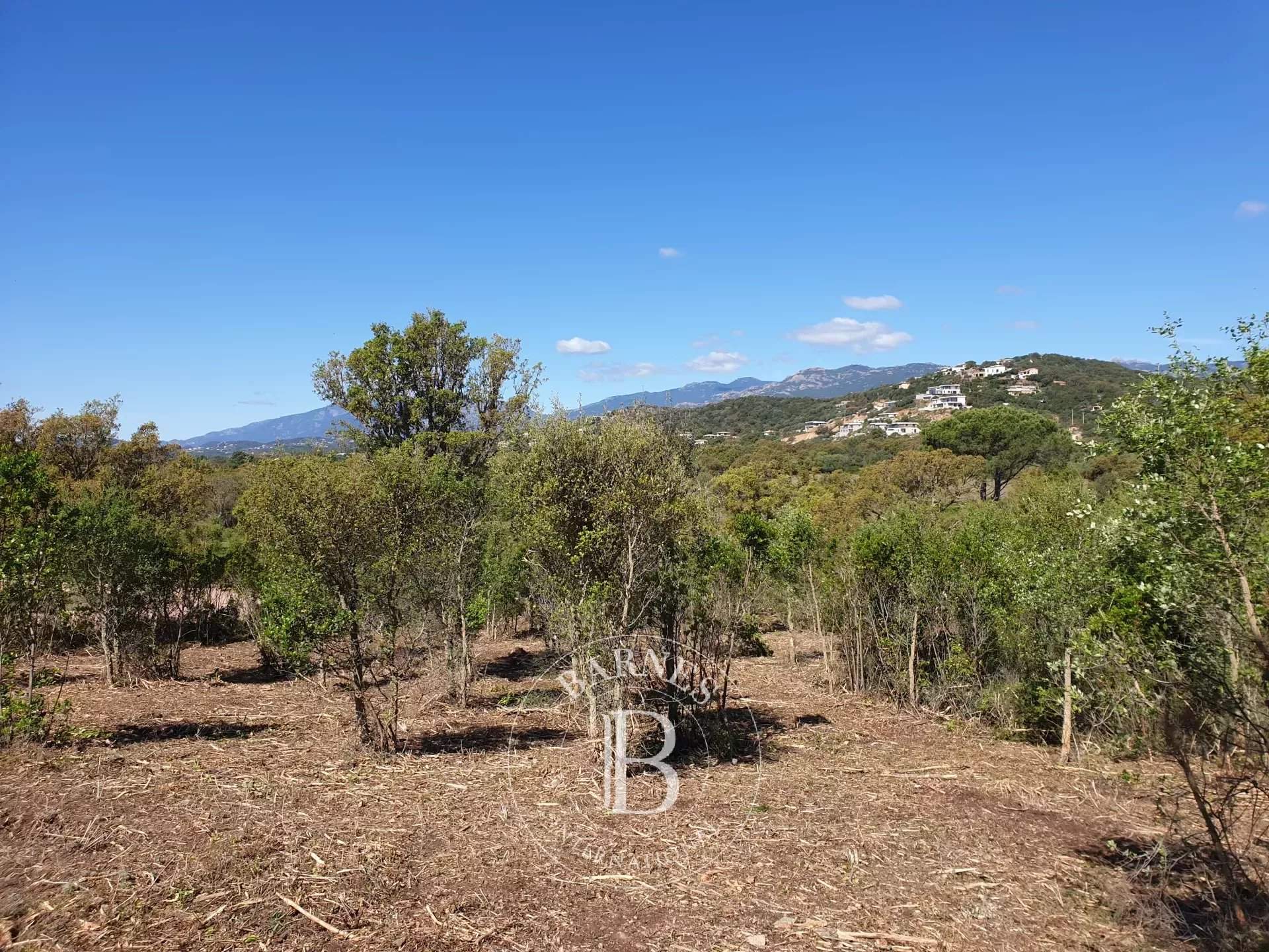 Sainte-Lucie-de-Porto-Vecchio  - Terrain constructible  - picture 3