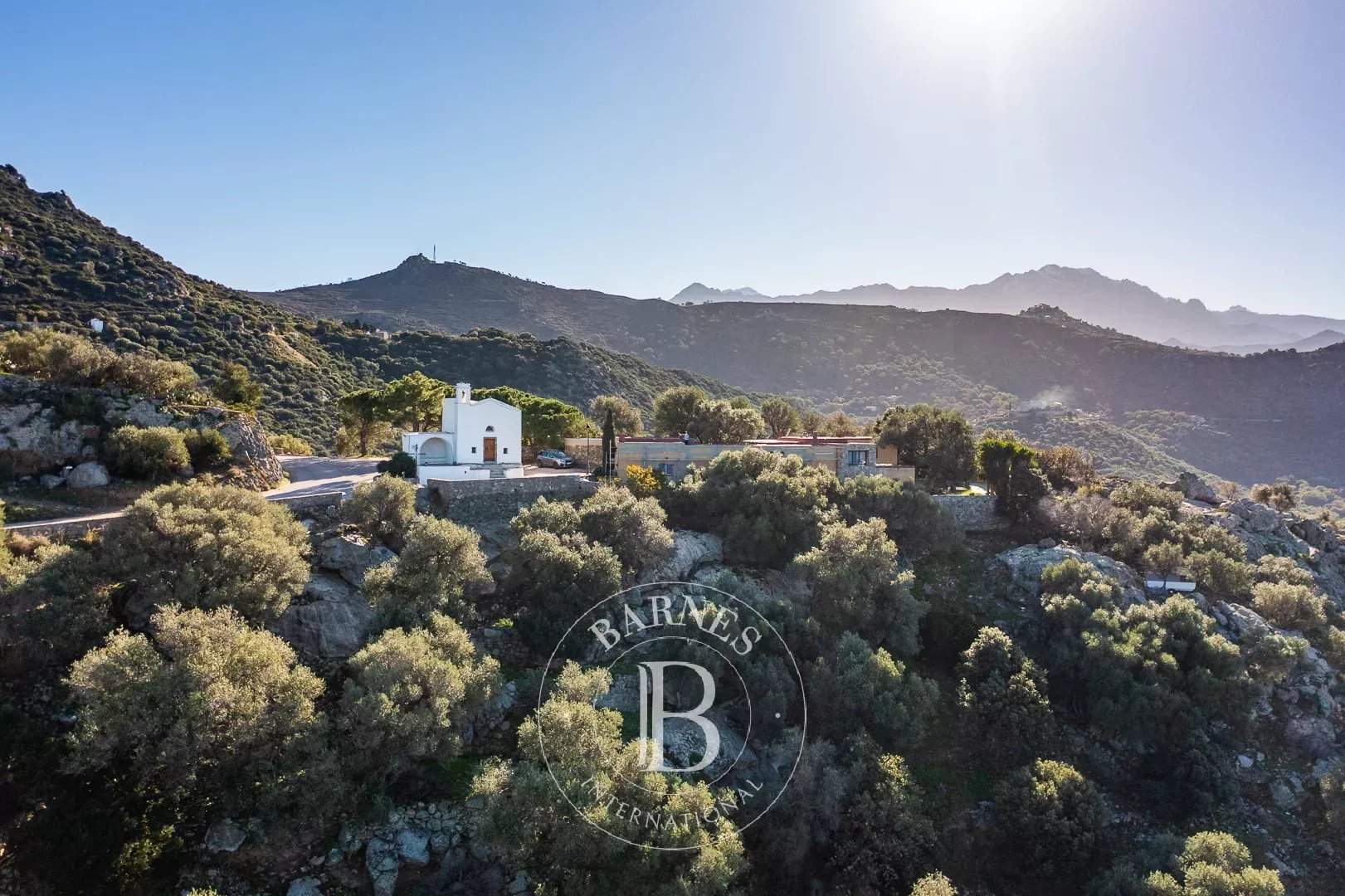 Corbara  - Terrain constructible  - picture 2