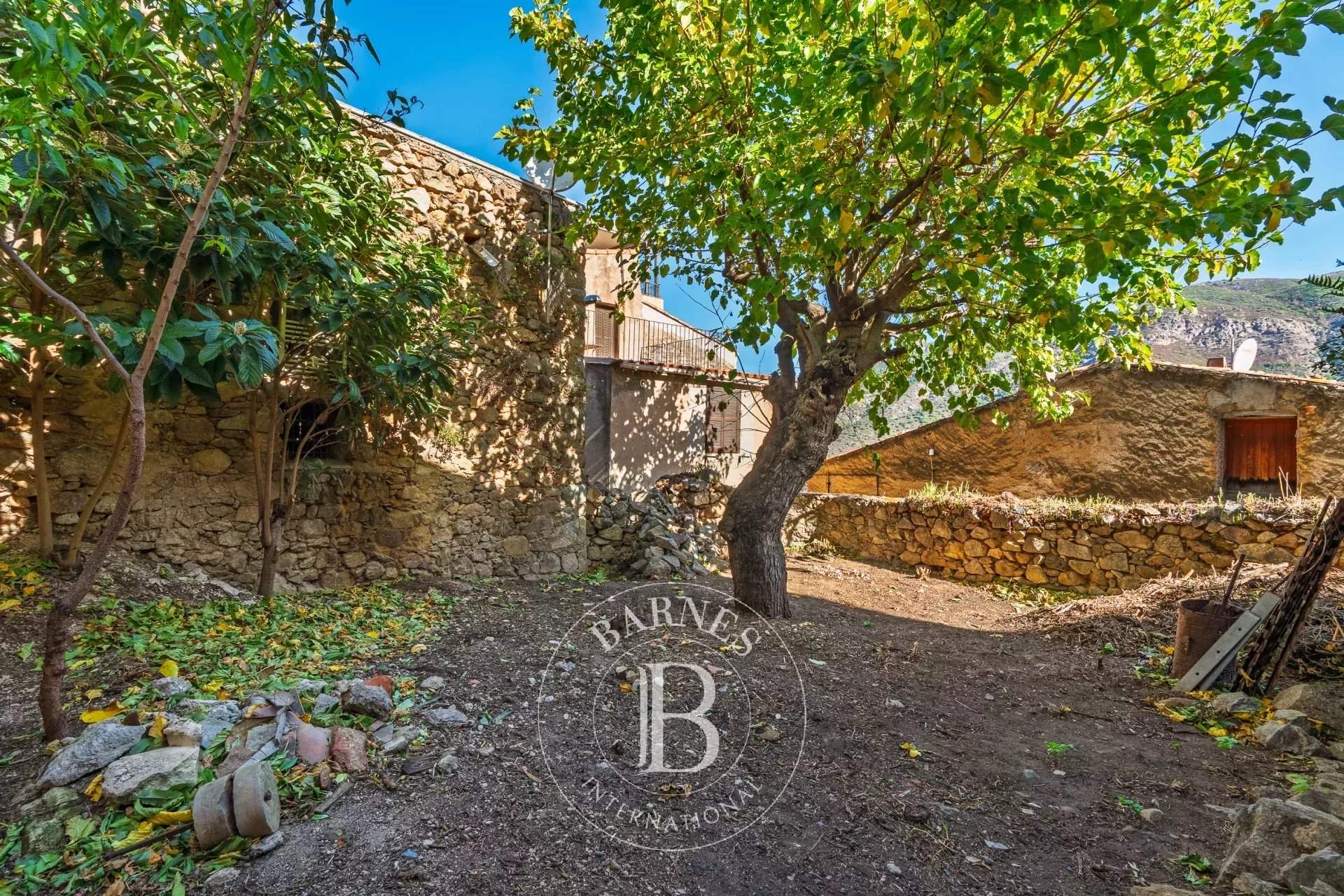 L'Île-Rousse  - Villa 12 Pièces - picture 5