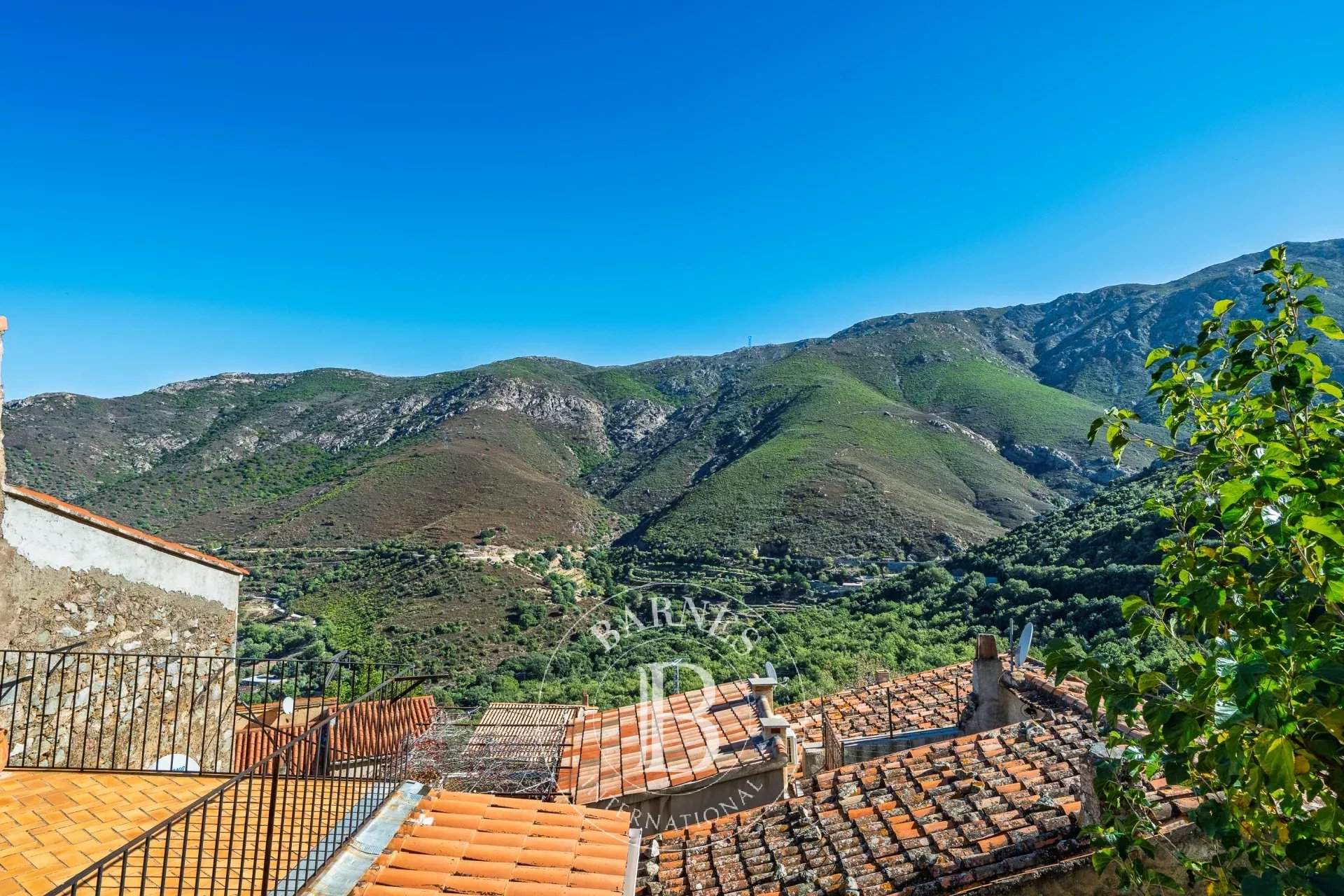 L'Île-Rousse  - Villa 12 Pièces - picture 8