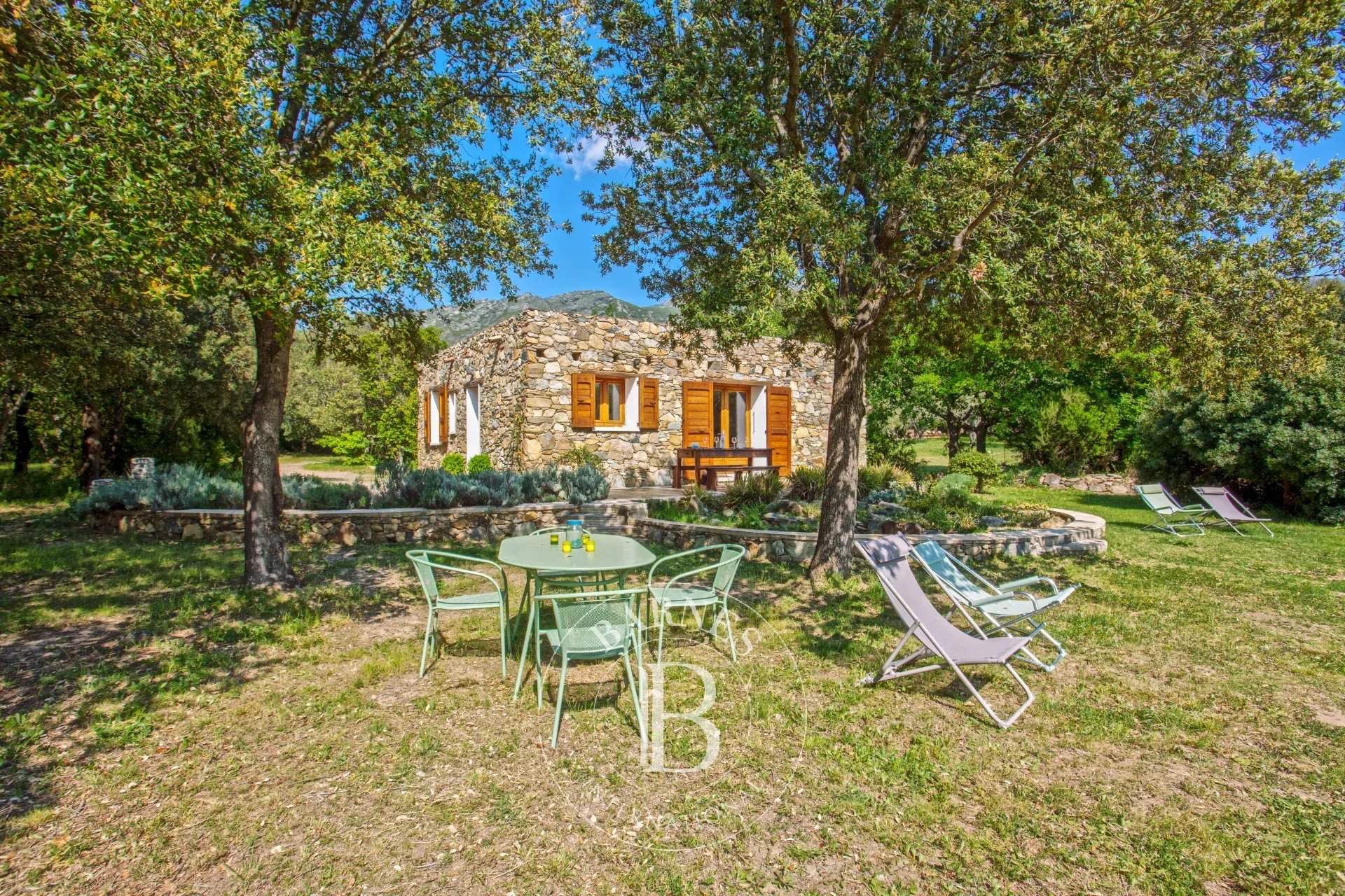 Saint-Florent  - Villa 8 Bedrooms - picture 11