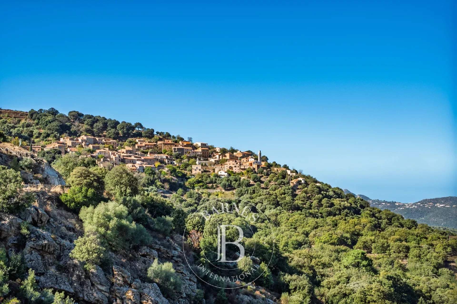 L'Île-Rousse  - Villa 12 Pièces - picture 10