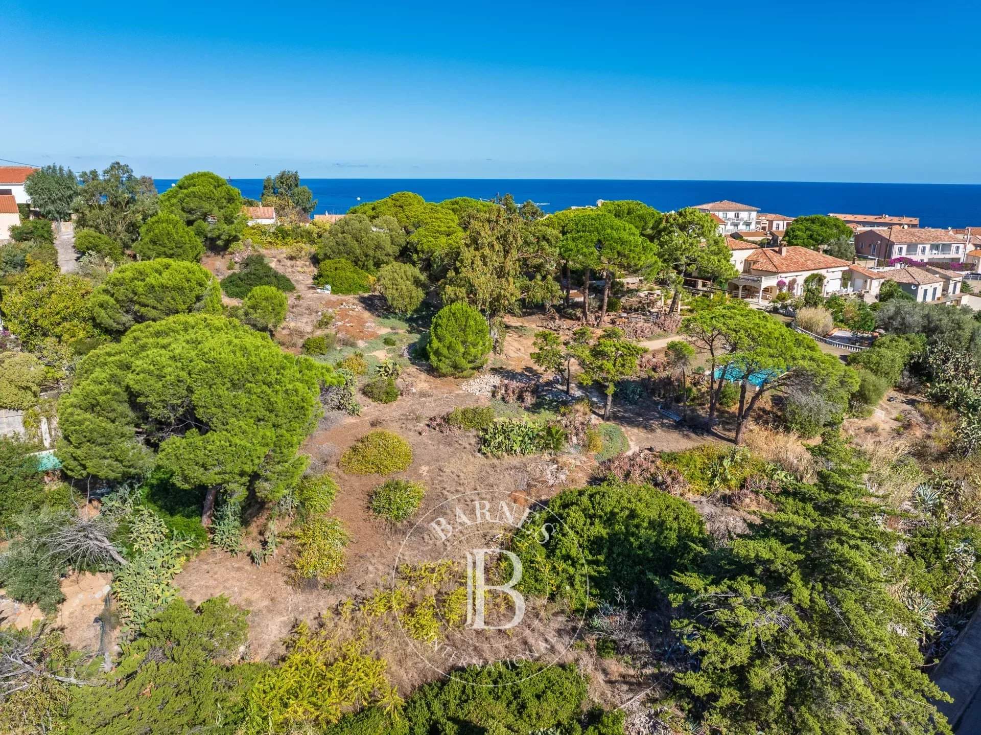 Calvi  - Building land  - picture 5