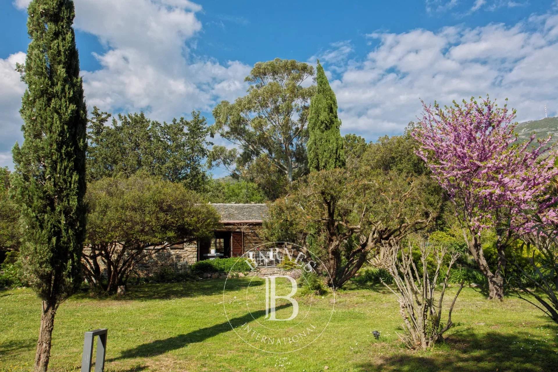 Saint-Florent  - Villa 8 Bedrooms - picture 7