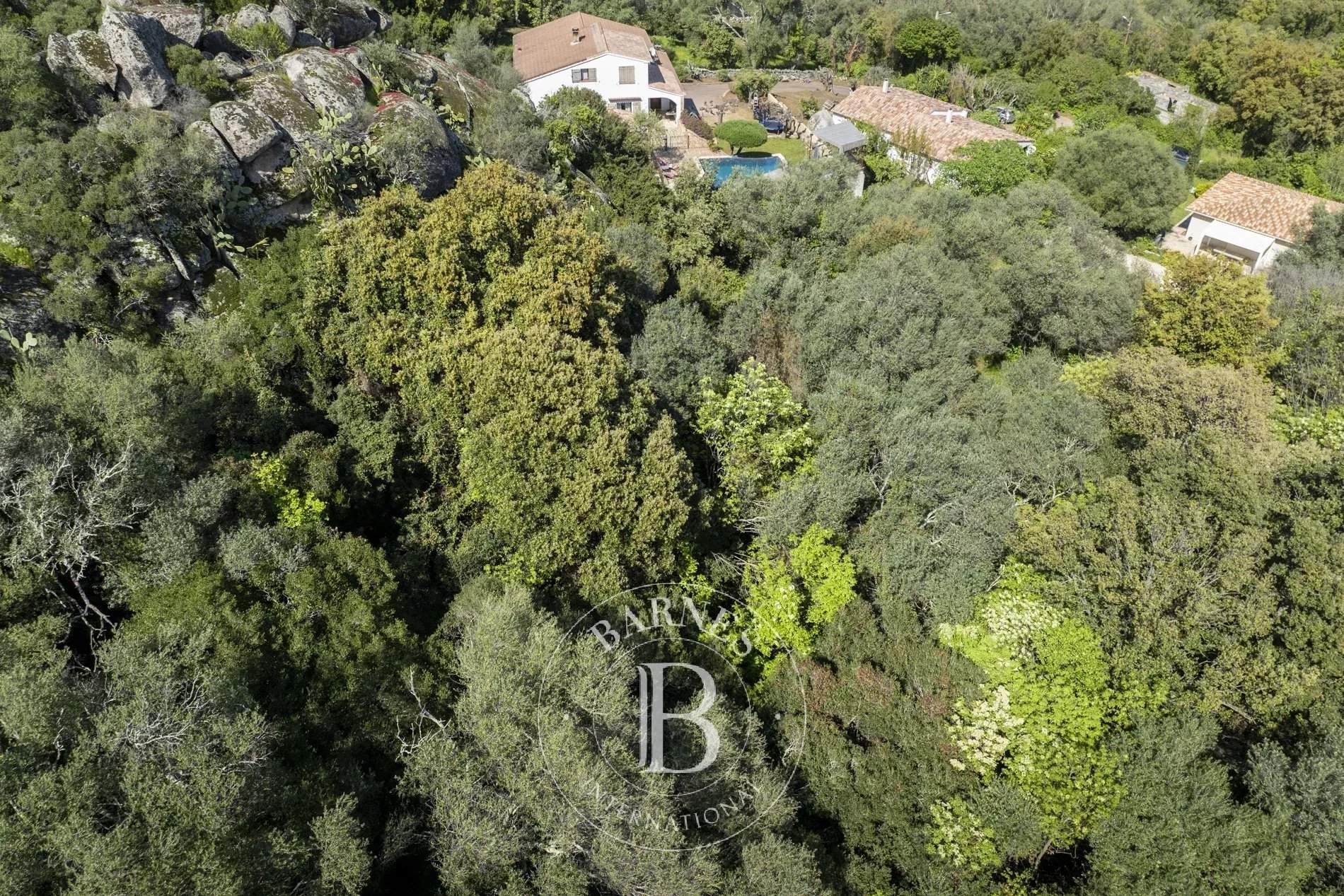 Porto-Vecchio  - Building land  - picture 4