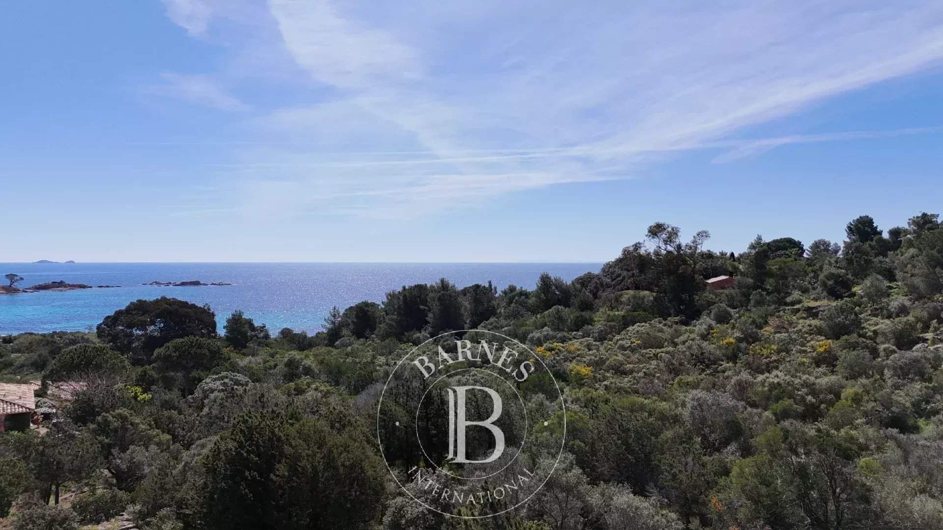 Porto-Vecchio  - Plot of land  - picture 5