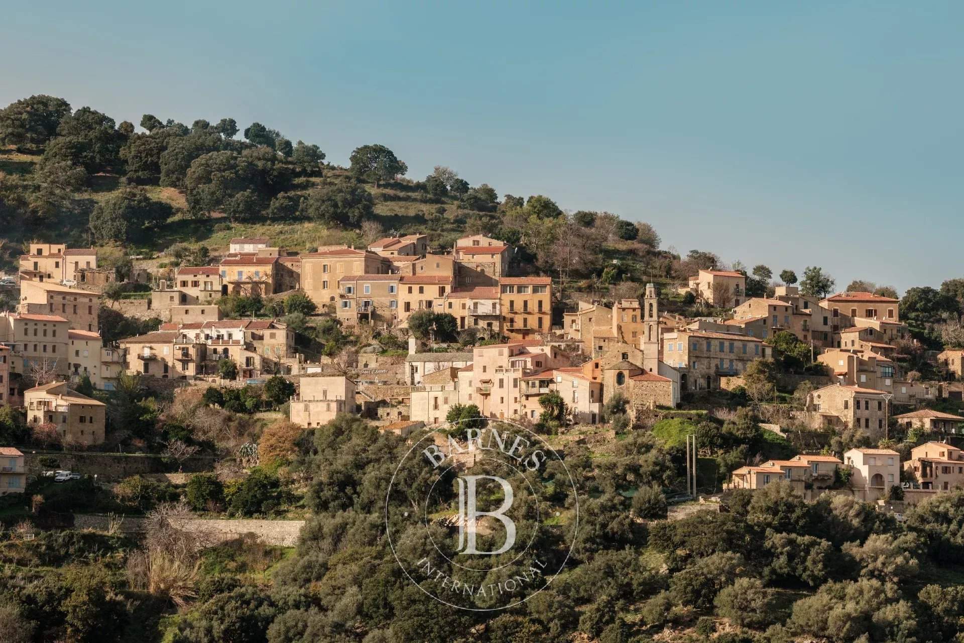 Occhiatana  - Building land  - picture 1