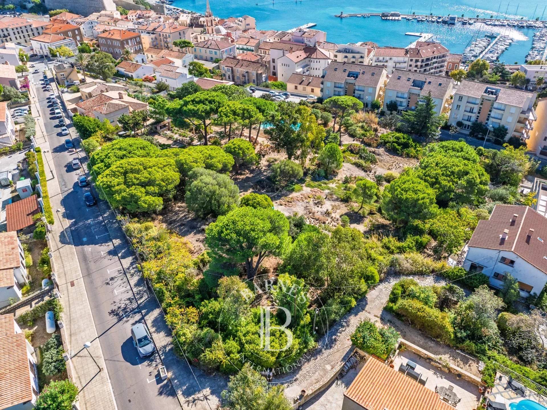 Calvi  - Building land  - picture 6