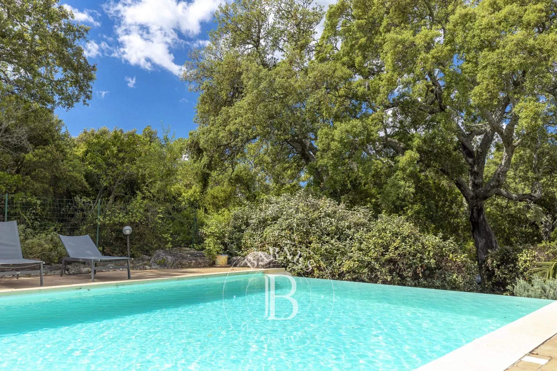 Sainte-Lucie-de-Porto-Vecchio  - Villa 13 Pi&egrave;ces 7 Chambres - picture 2