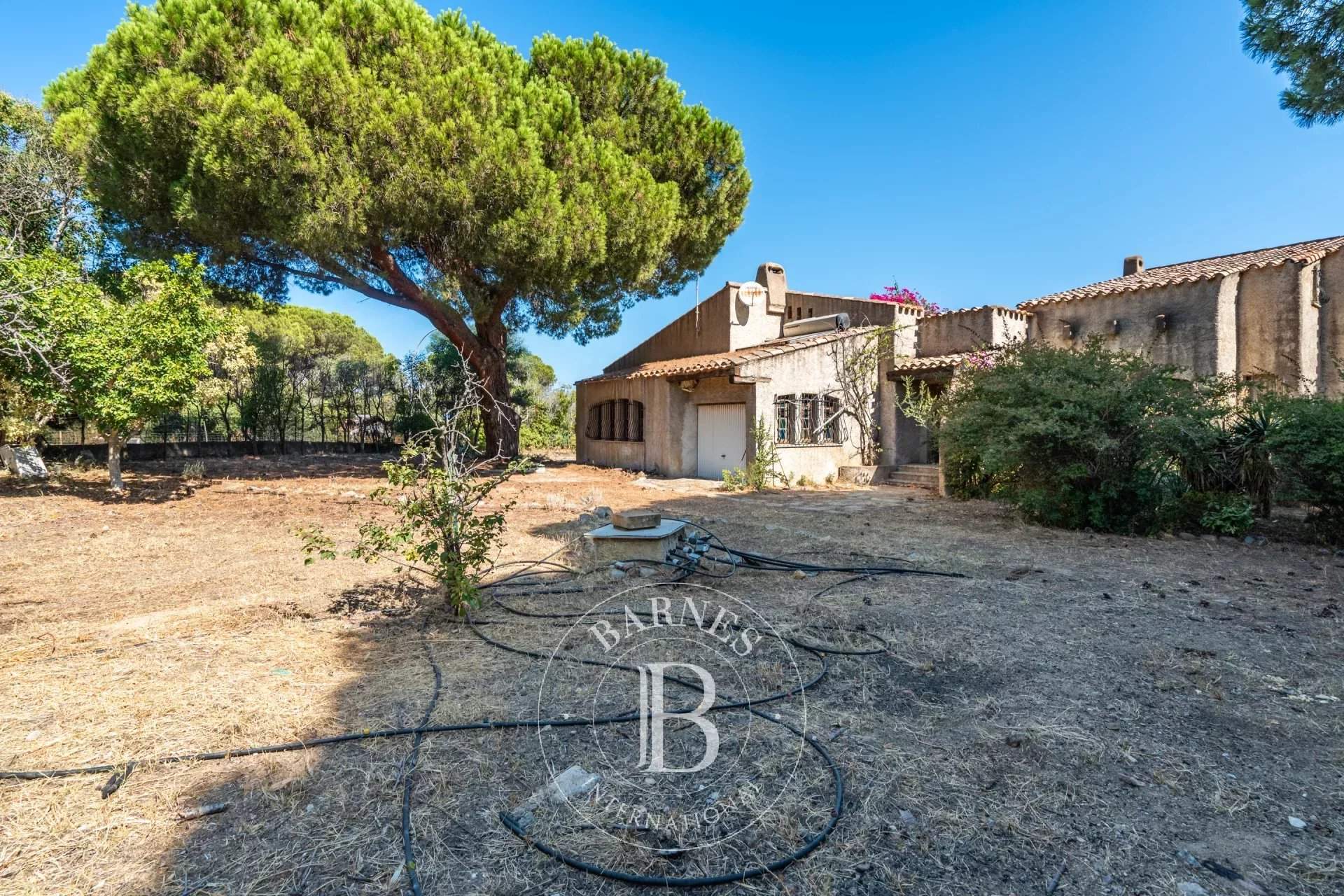 Calvi  - Villa 5 Bedrooms - picture 16