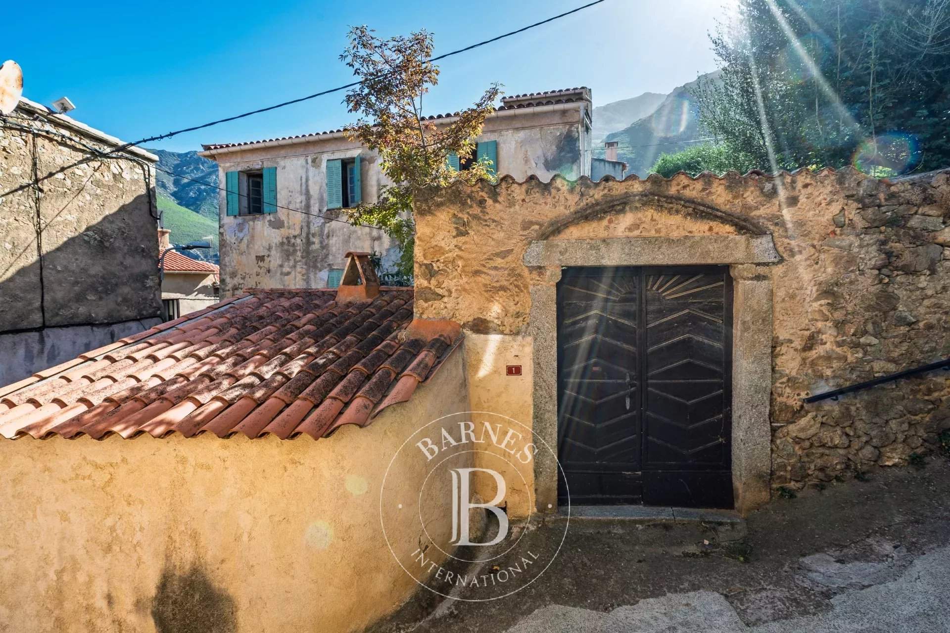 L'Île-Rousse  - Villa 12 Pièces - picture 9