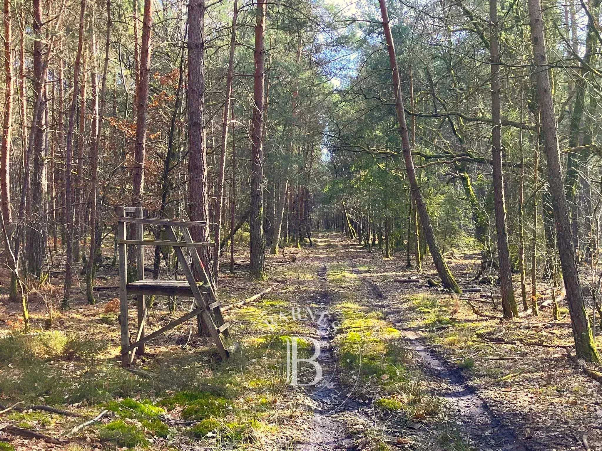 Lamotte-Beuvron  - Propriété 12 Pi&egrave;ces