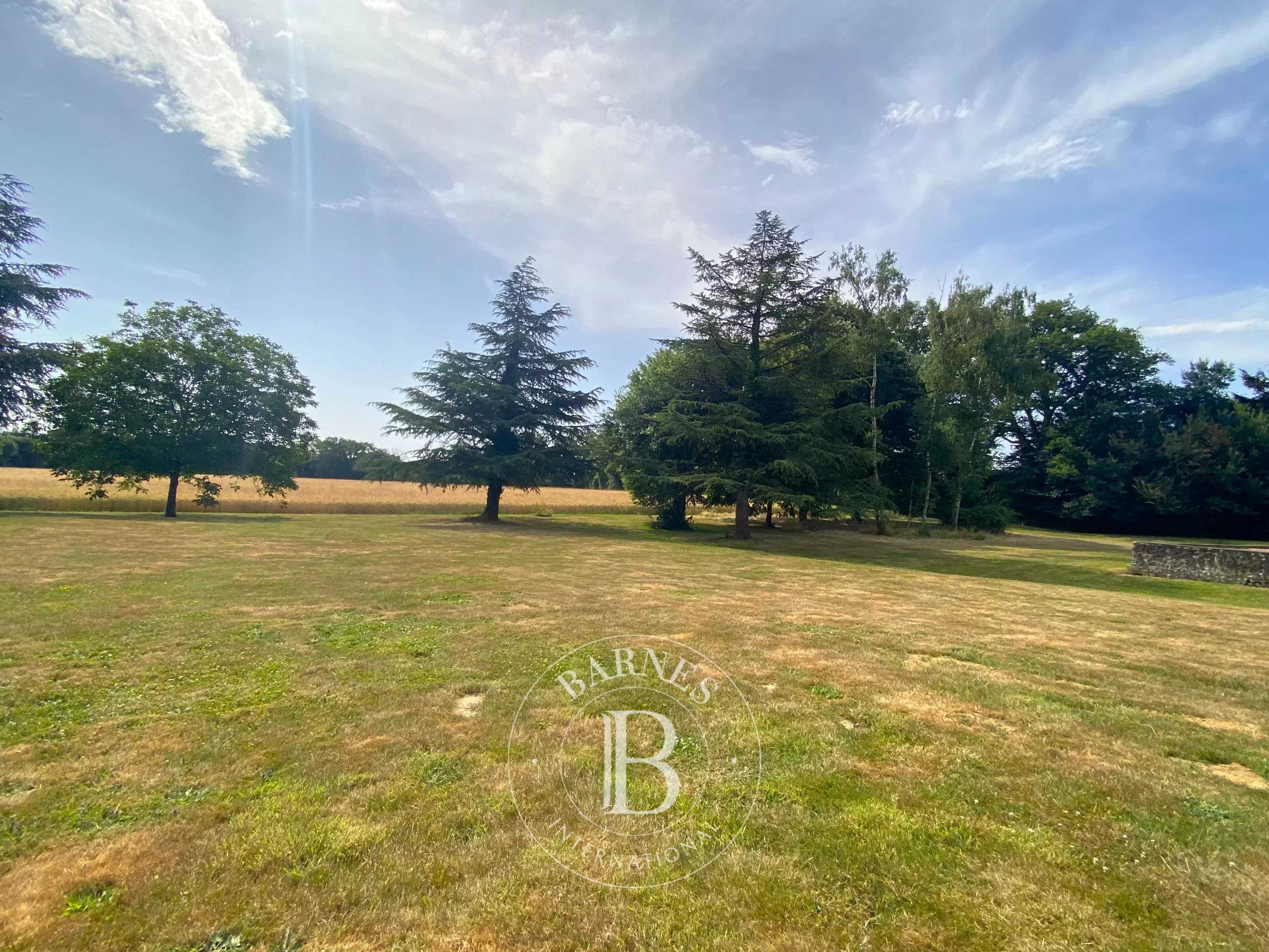 Savigny-sur-Braye  - Maison 14 Pi&egrave;ces 10 Chambres