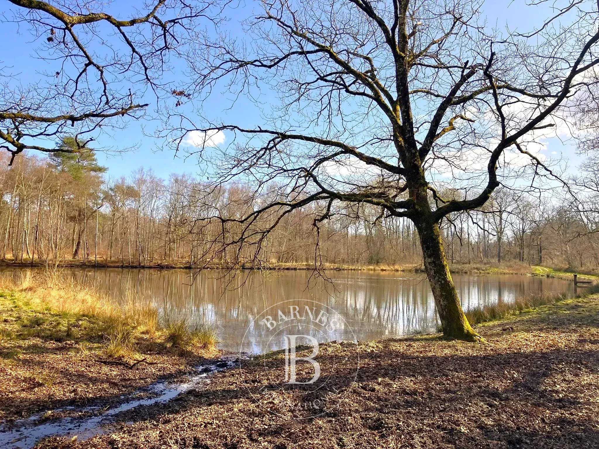 Lamotte-Beuvron  - Propriété 12 Pi&egrave;ces