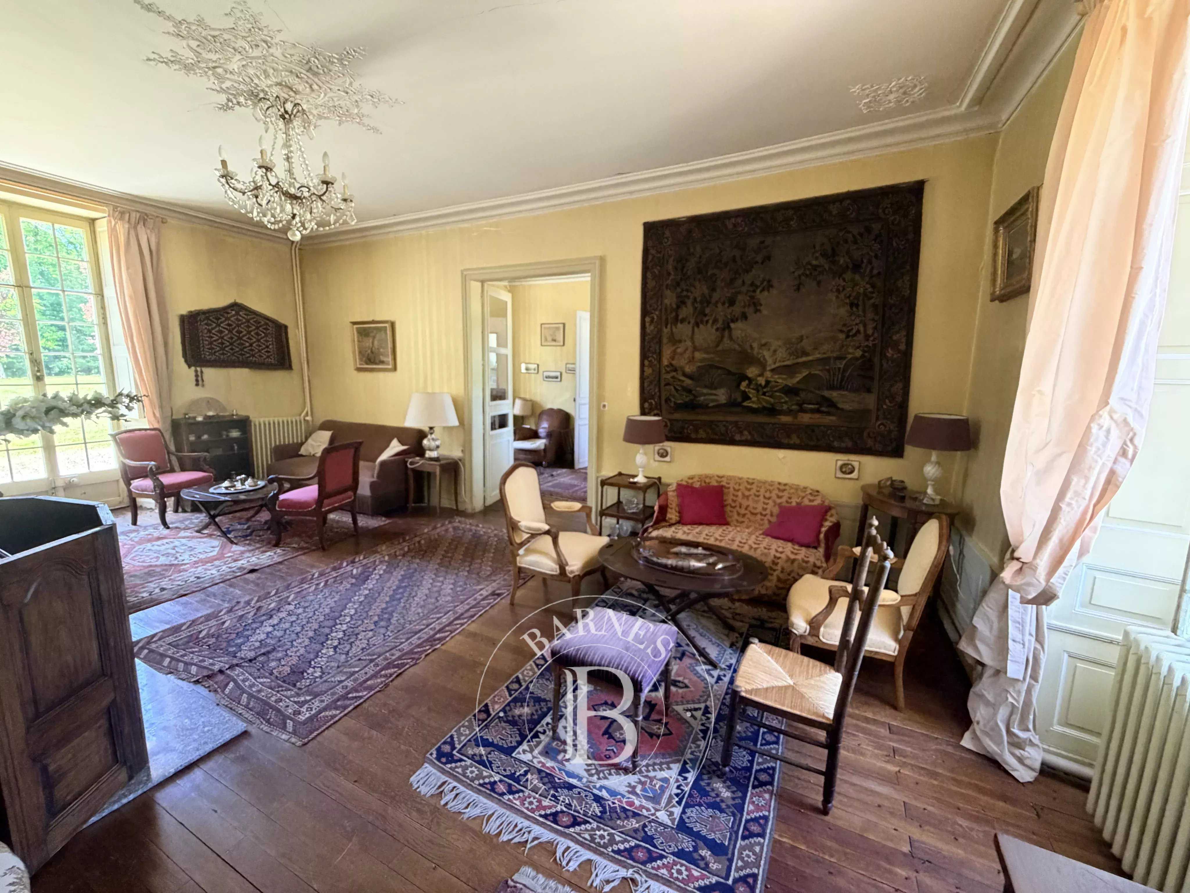 Vatan  - Château 19 Pi&egrave;ces 13 Chambres