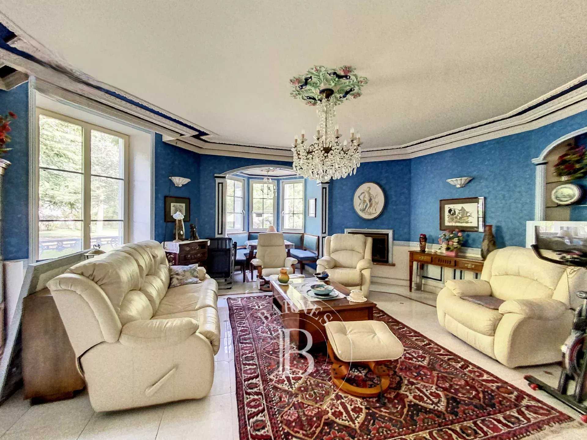 Le Blanc  - Manor house 7 Bedrooms