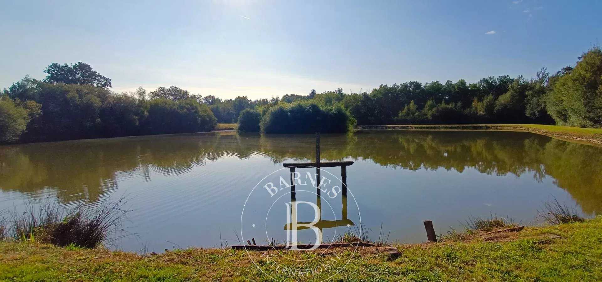 Neuvy-sur-Barangeon  - Propriété 9 Pi&egrave;ces 4 Chambres