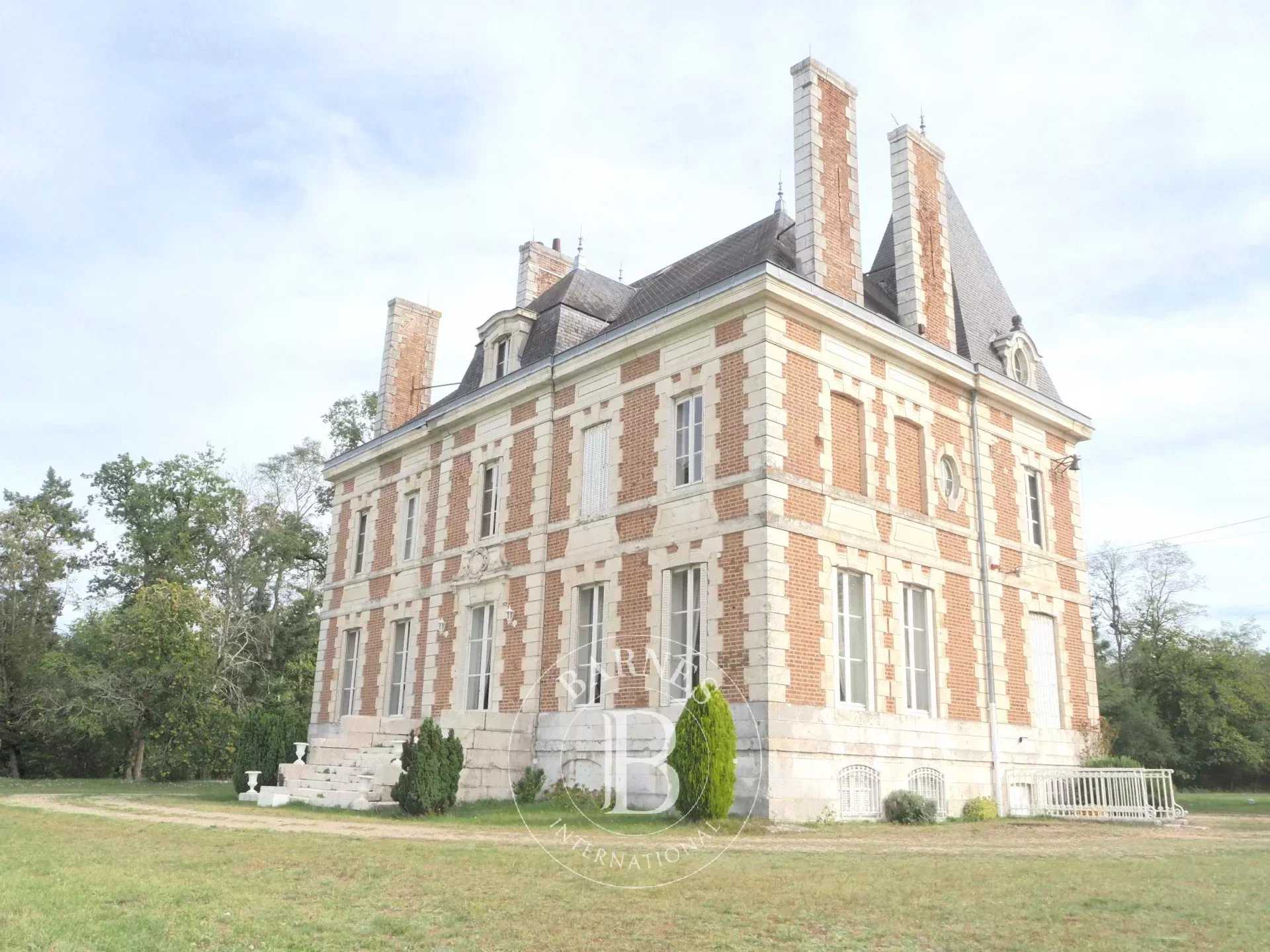 Saint-Cyr-en-Val  - Château 17 Pièces 14 Chambres
