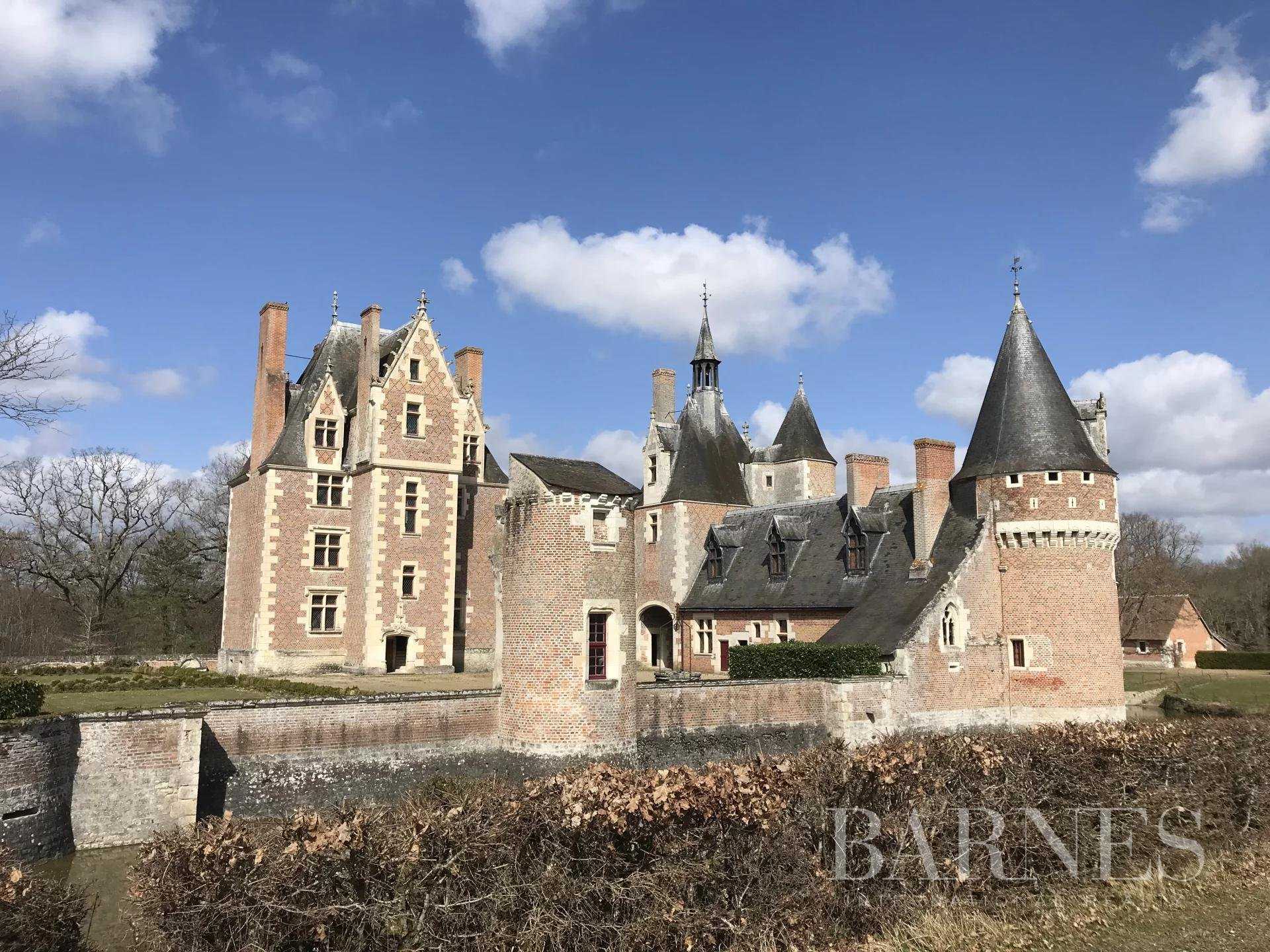 Blois  - Château 
