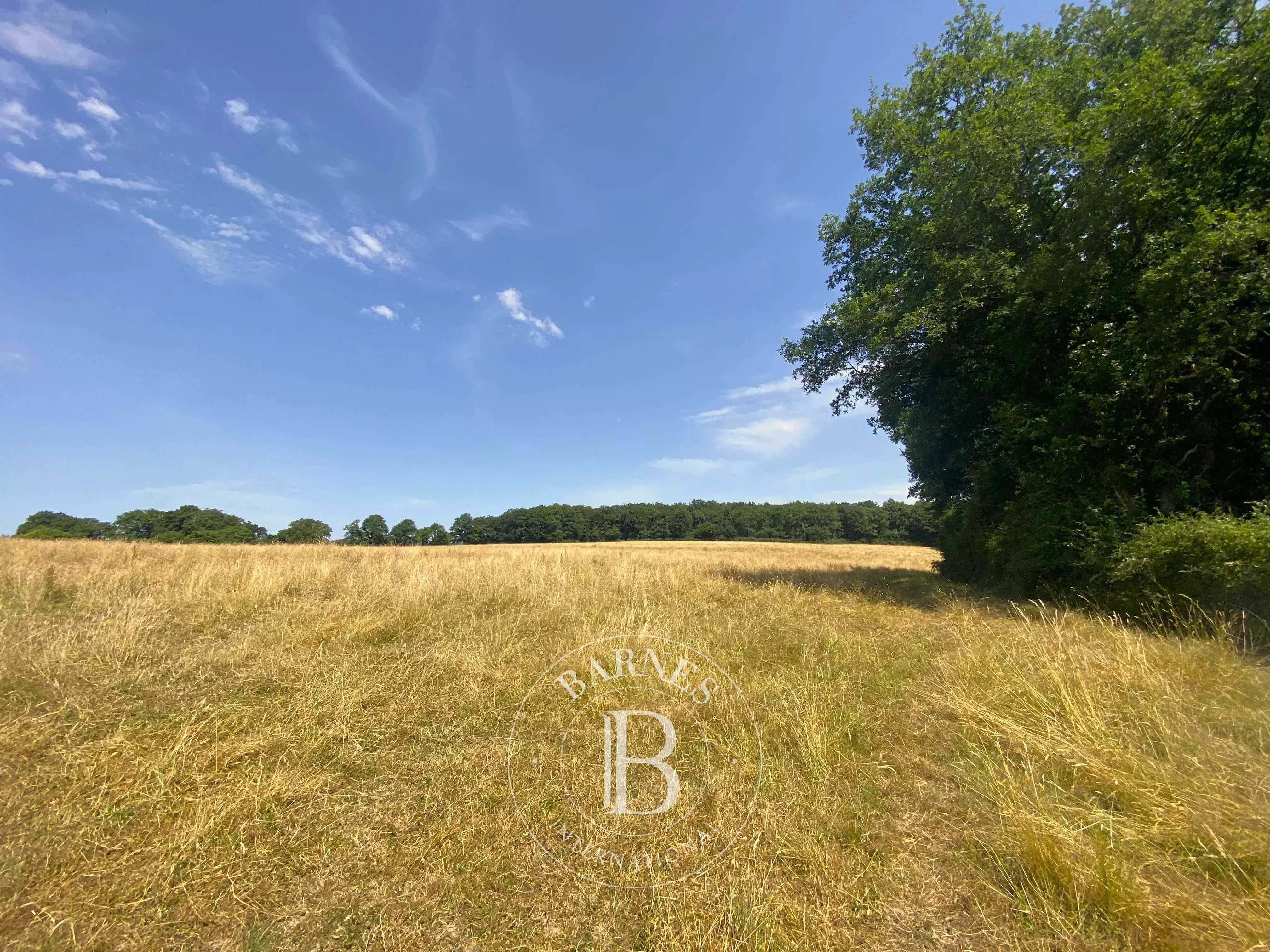 Savigny-sur-Braye  - Maison 14 Pi&egrave;ces 10 Chambres