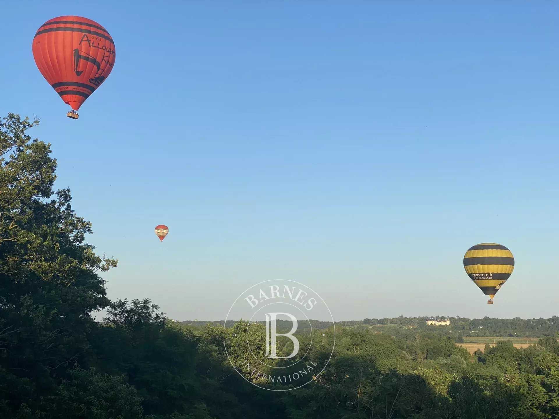 Veuzain-sur-Loire  - Village house 6 Bedrooms