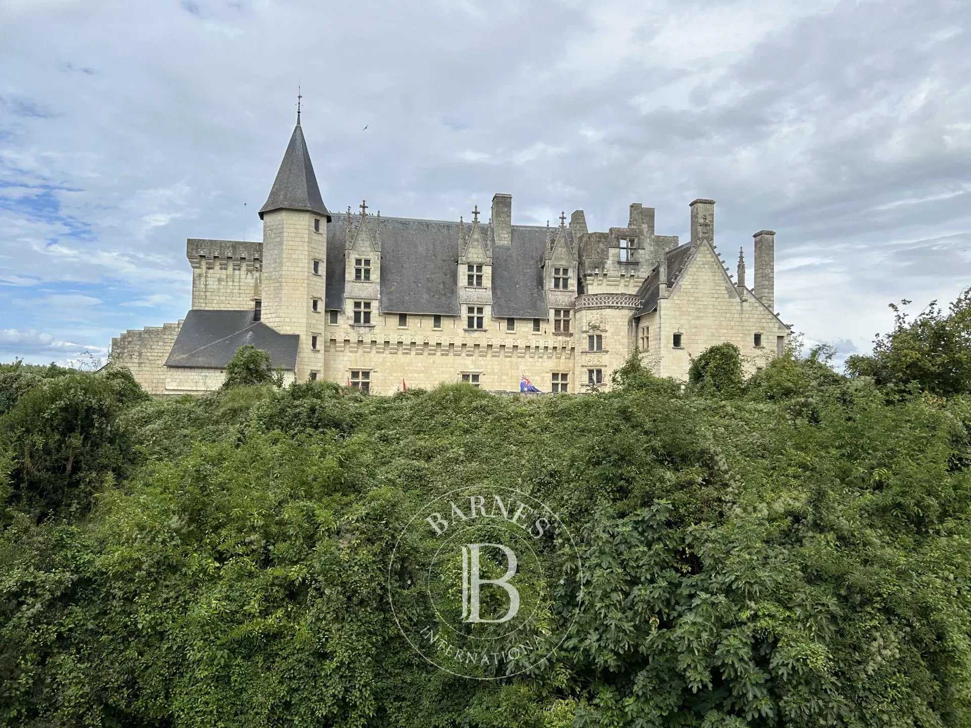 Montsoreau  - Village house 4 Bedrooms