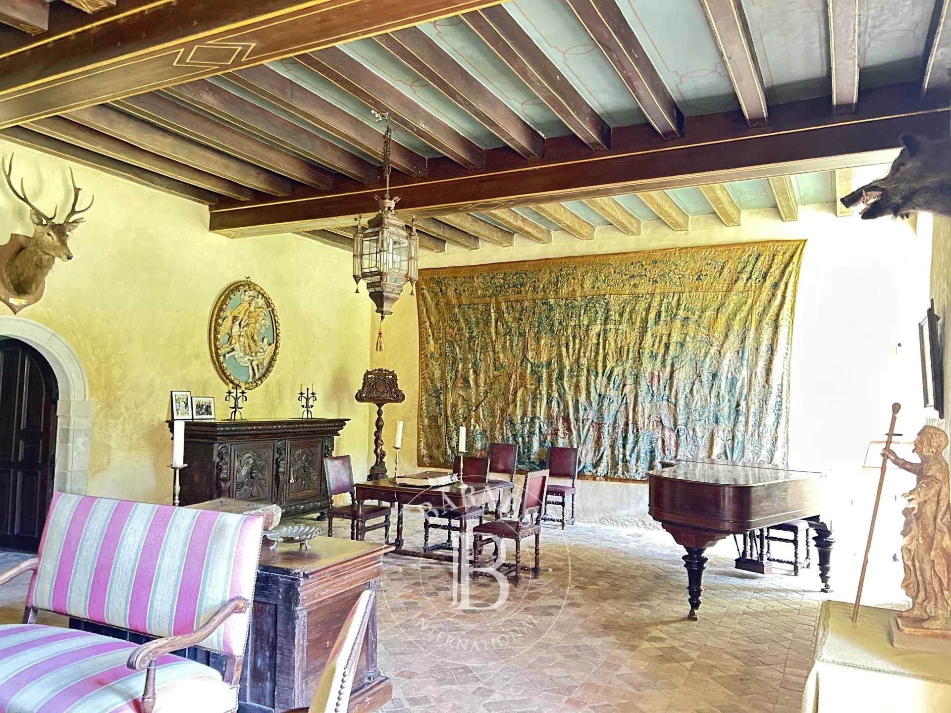 Chazé-sur-Argos  - Castle 15 Bedrooms