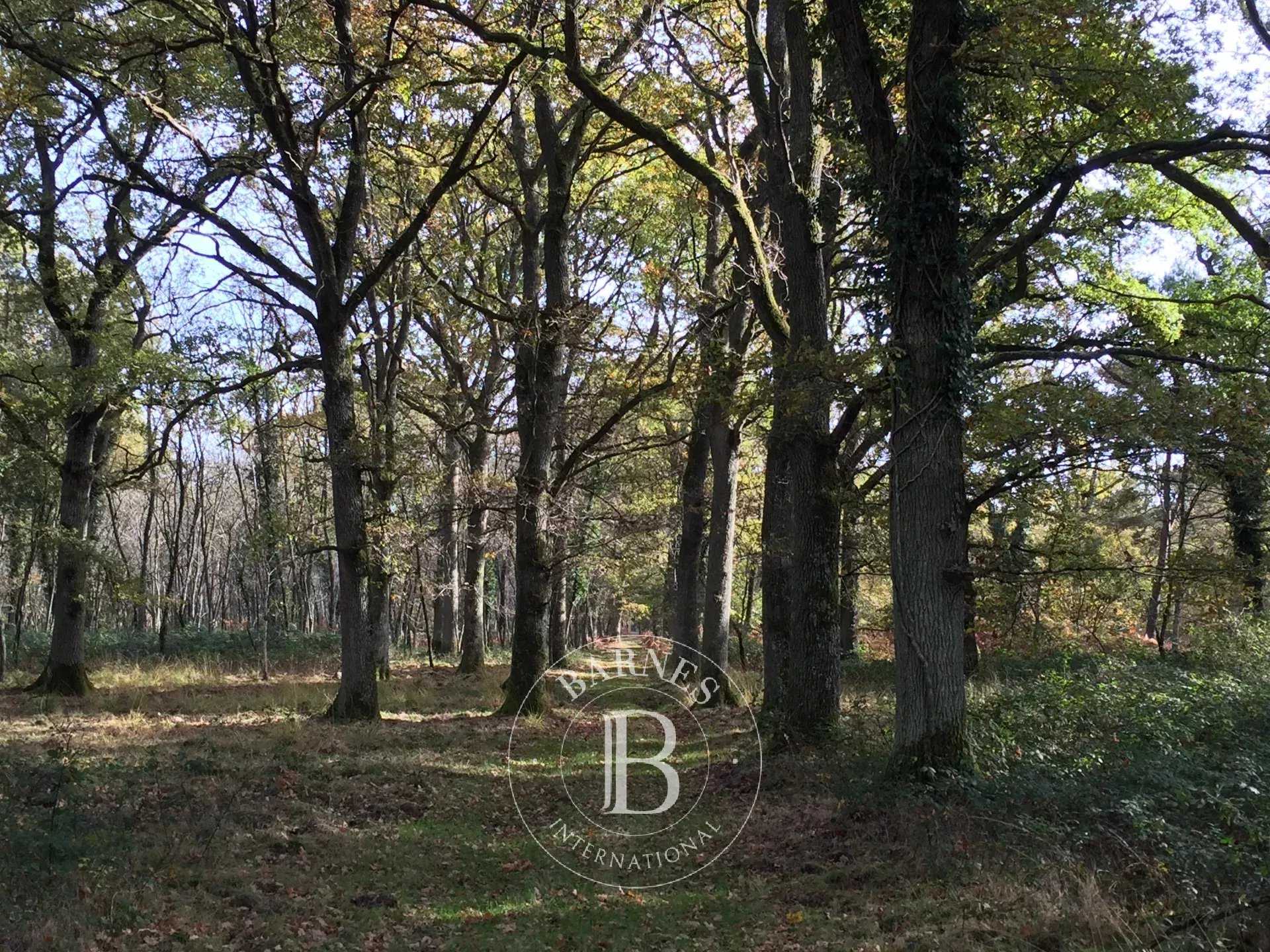 Tours  - Propriété 12 Pi&egrave;ces 5 Chambres